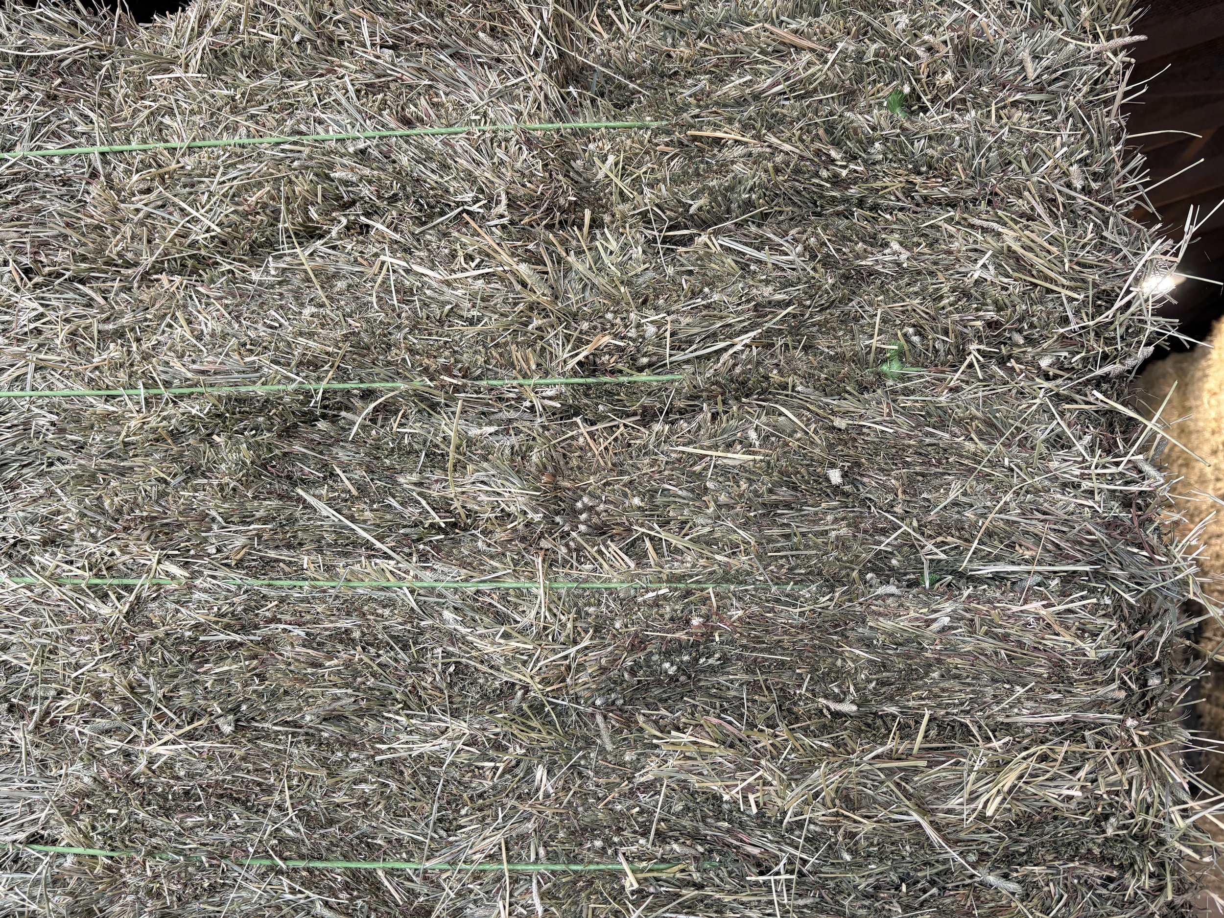 Pic - 2nd Timothy Bundles LS (18 Bale).jpeg