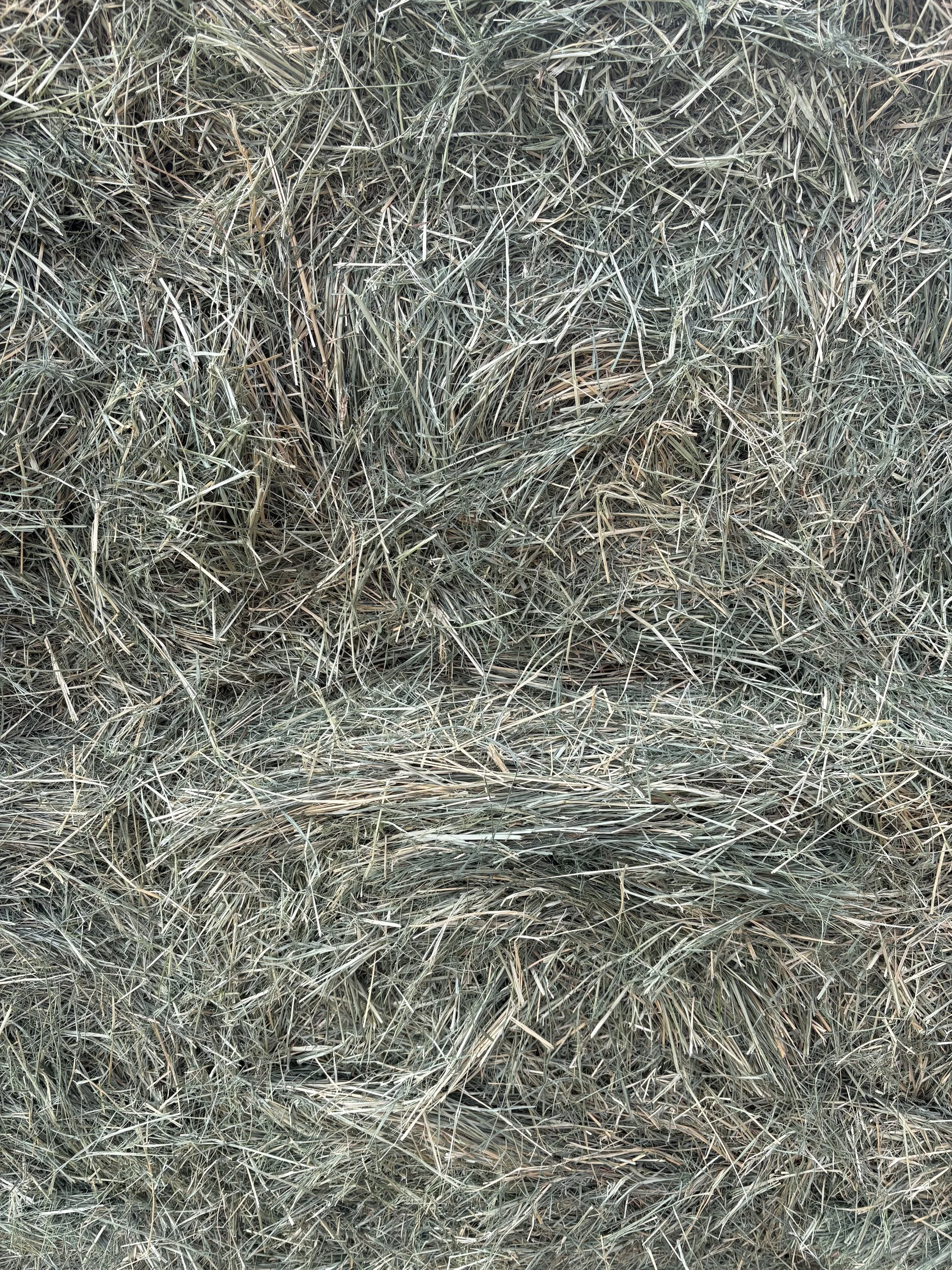 Pic1 - Teff Bundle (18 Bales).jpeg