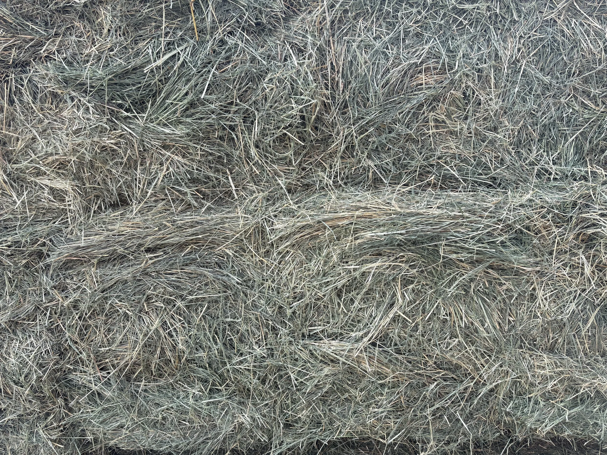 Pic2 - Teff Bundle (18 Bales).jpeg