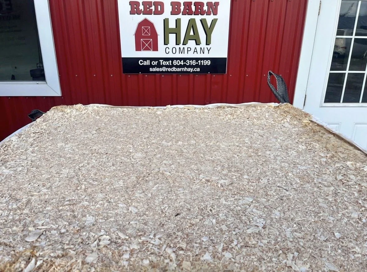 Wood Shavings.jpg