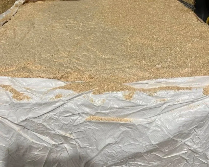 Saw Dust