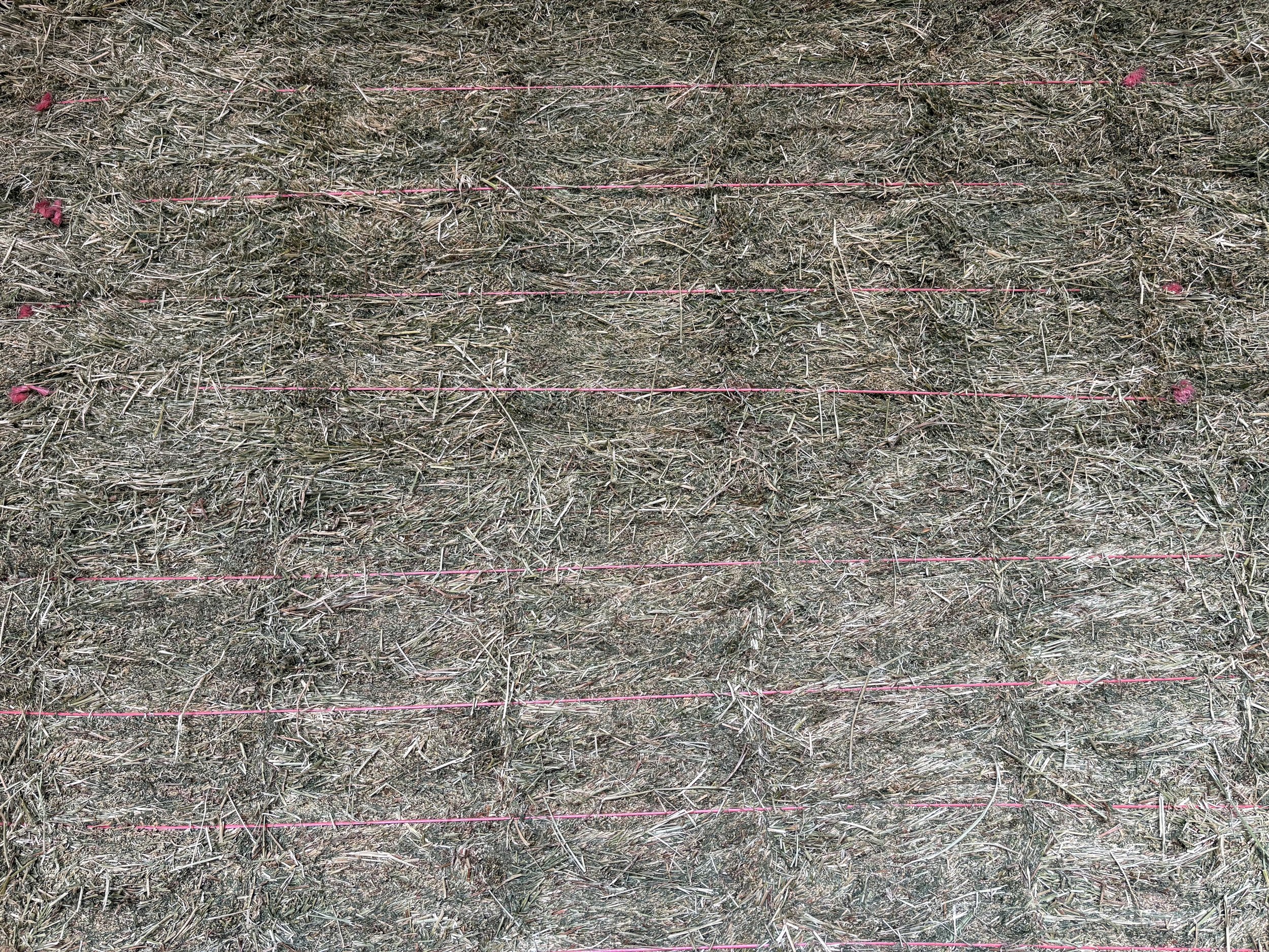 Pic - 2nd Cut Alfalfa (21 Bale).jpeg