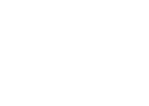 Richmond International Film Festival