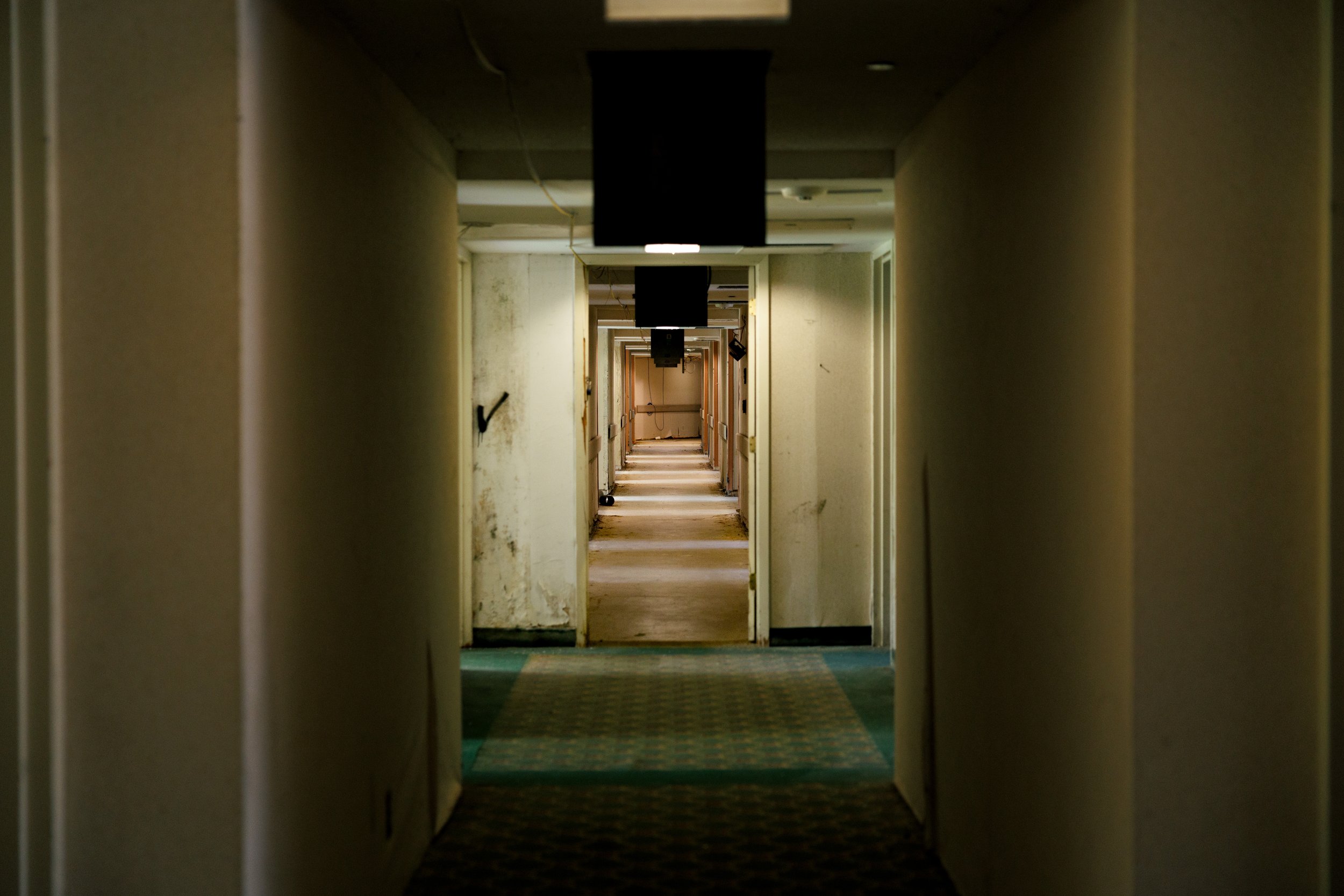 _W6A7917.jpg