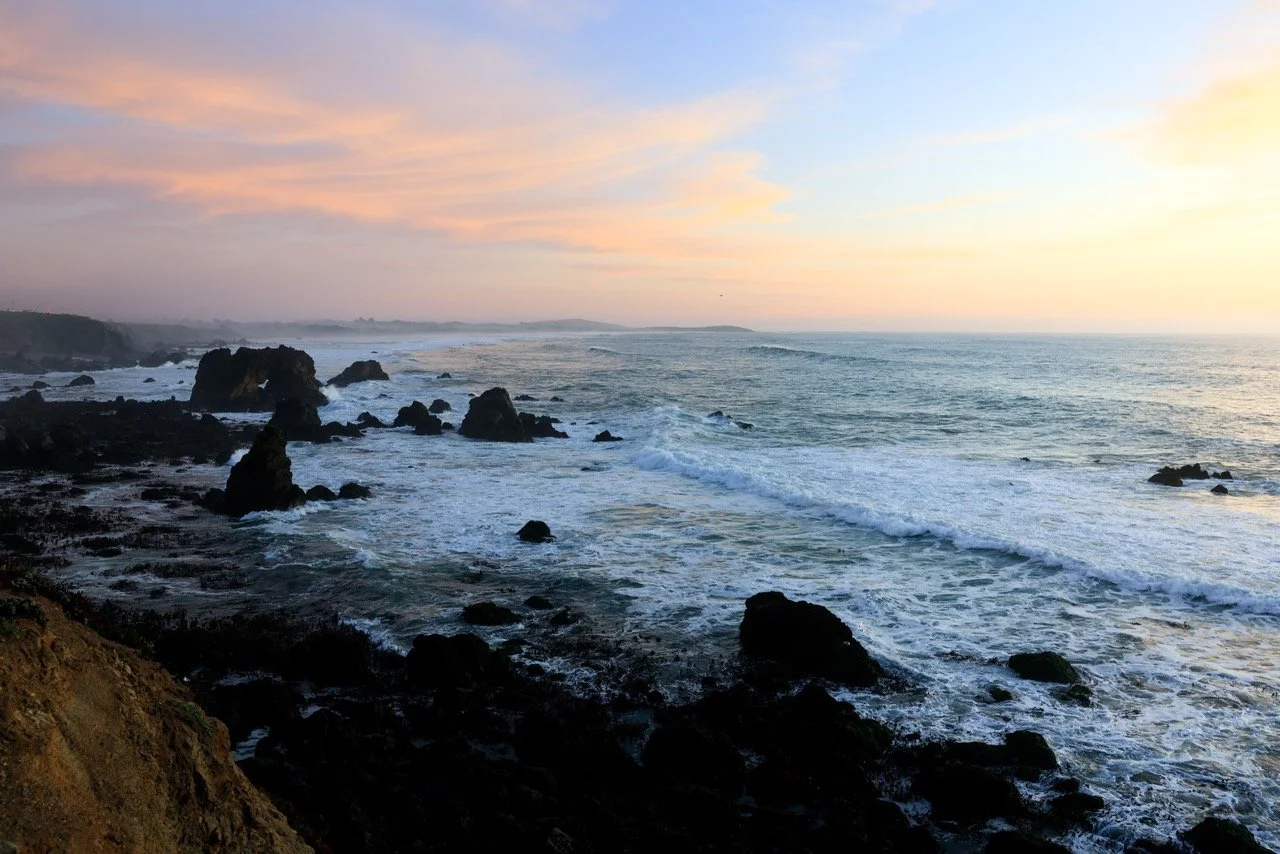 _W6A3094-2 Large.jpeg