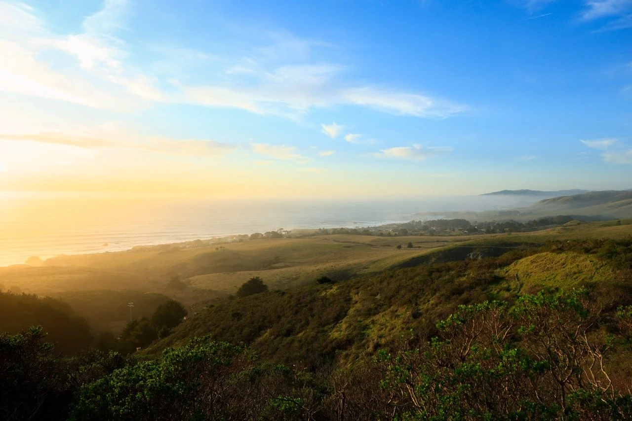 _W6A3006-2 Large.jpeg