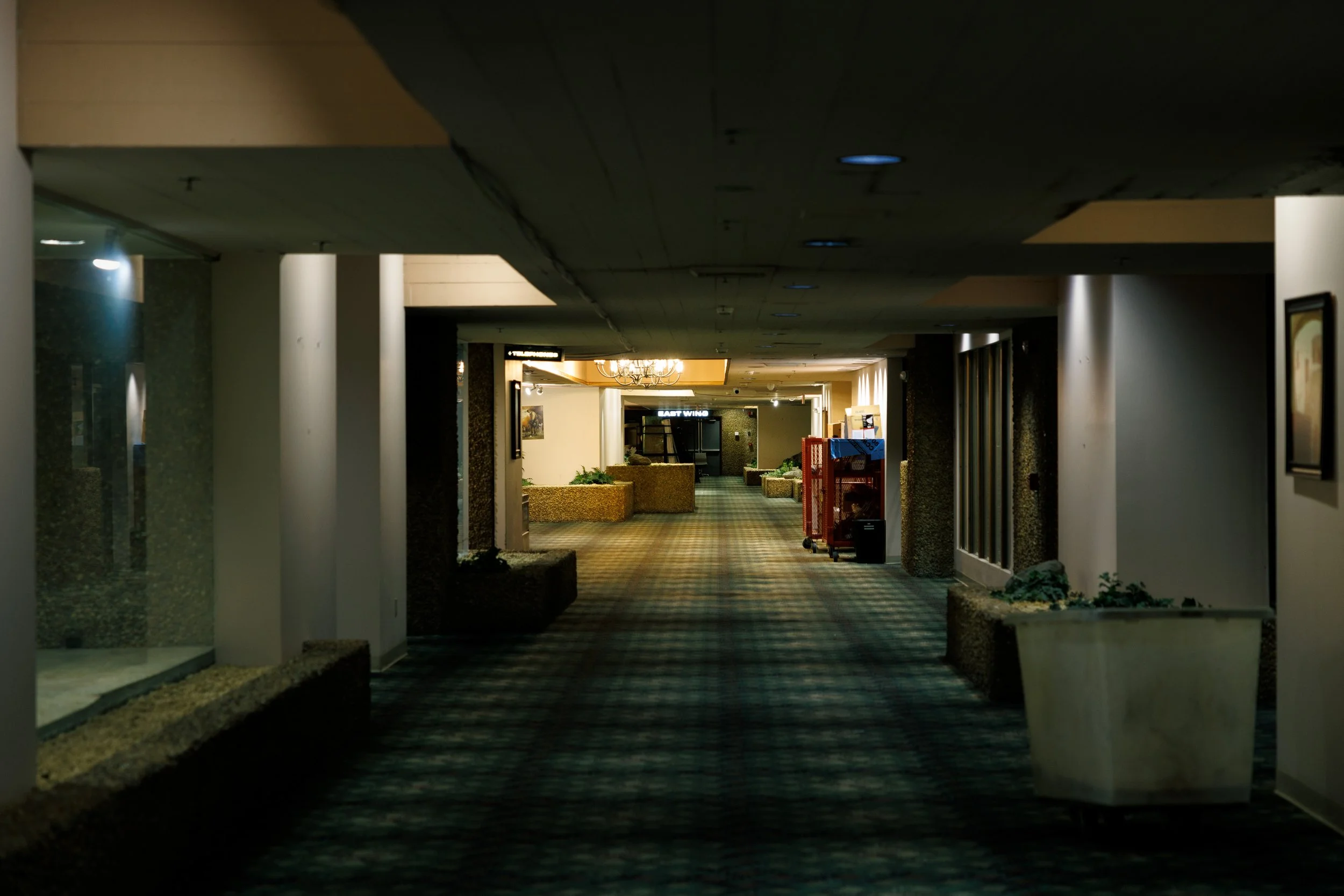 _W6A7513.jpg