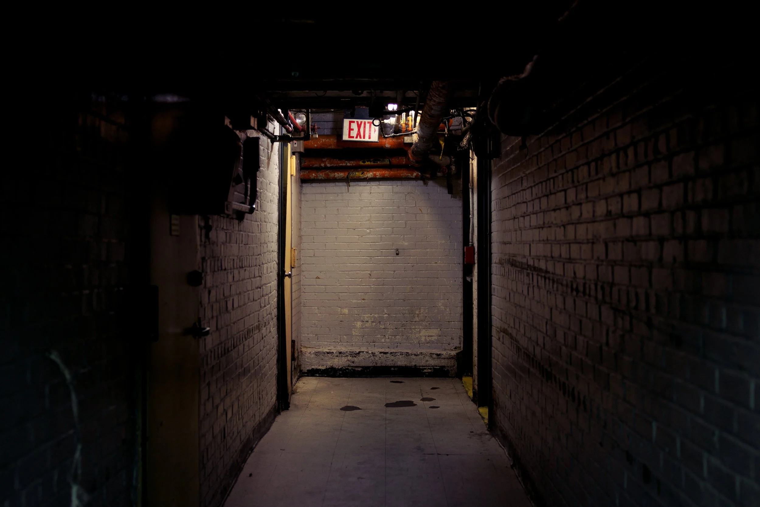 _W6A2293.jpg