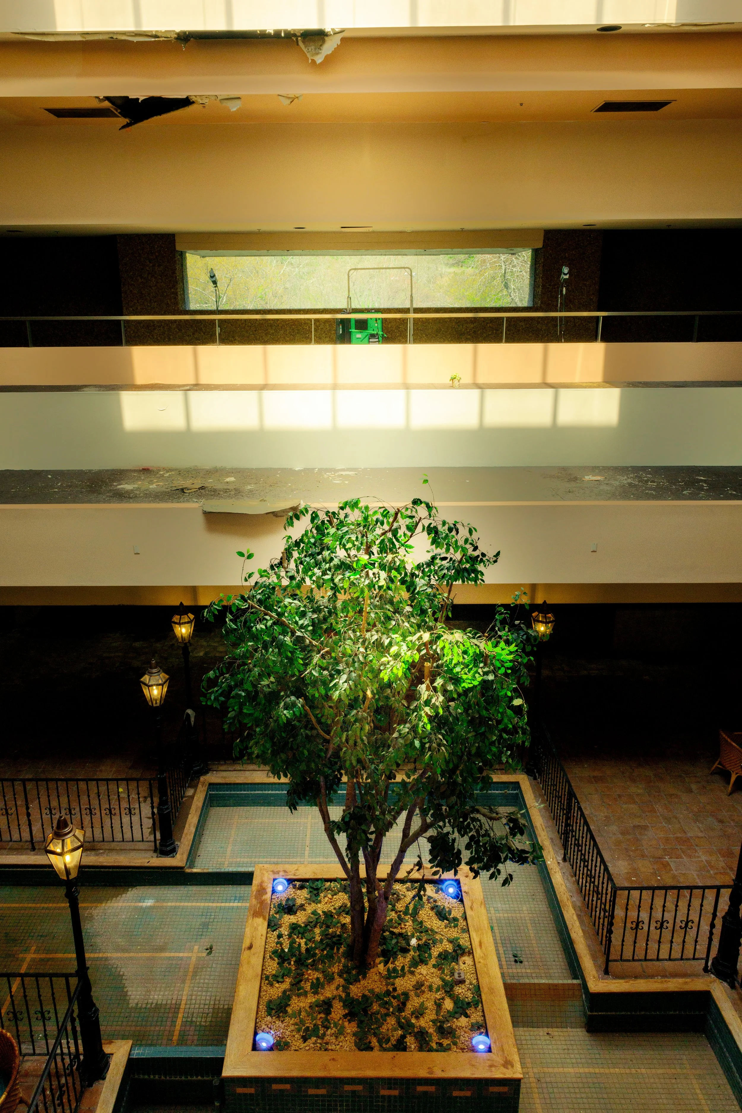 _W6A7806-2.jpg