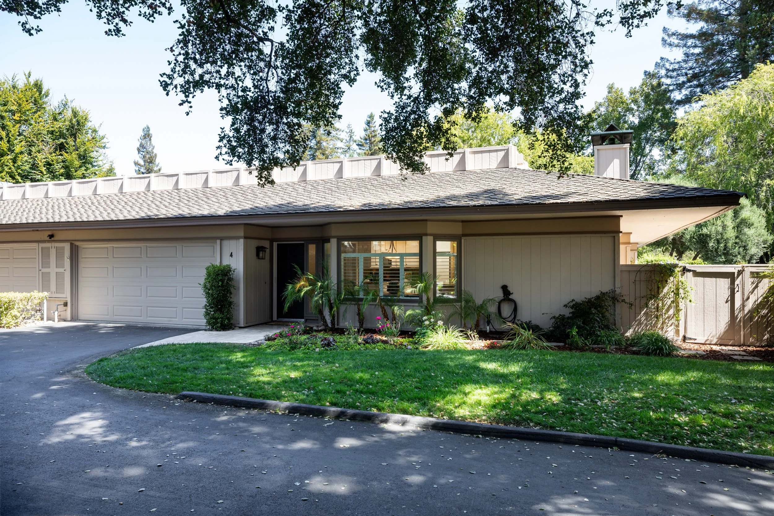 1-4BayTree_Matt_Anello-2222-MLS.jpg