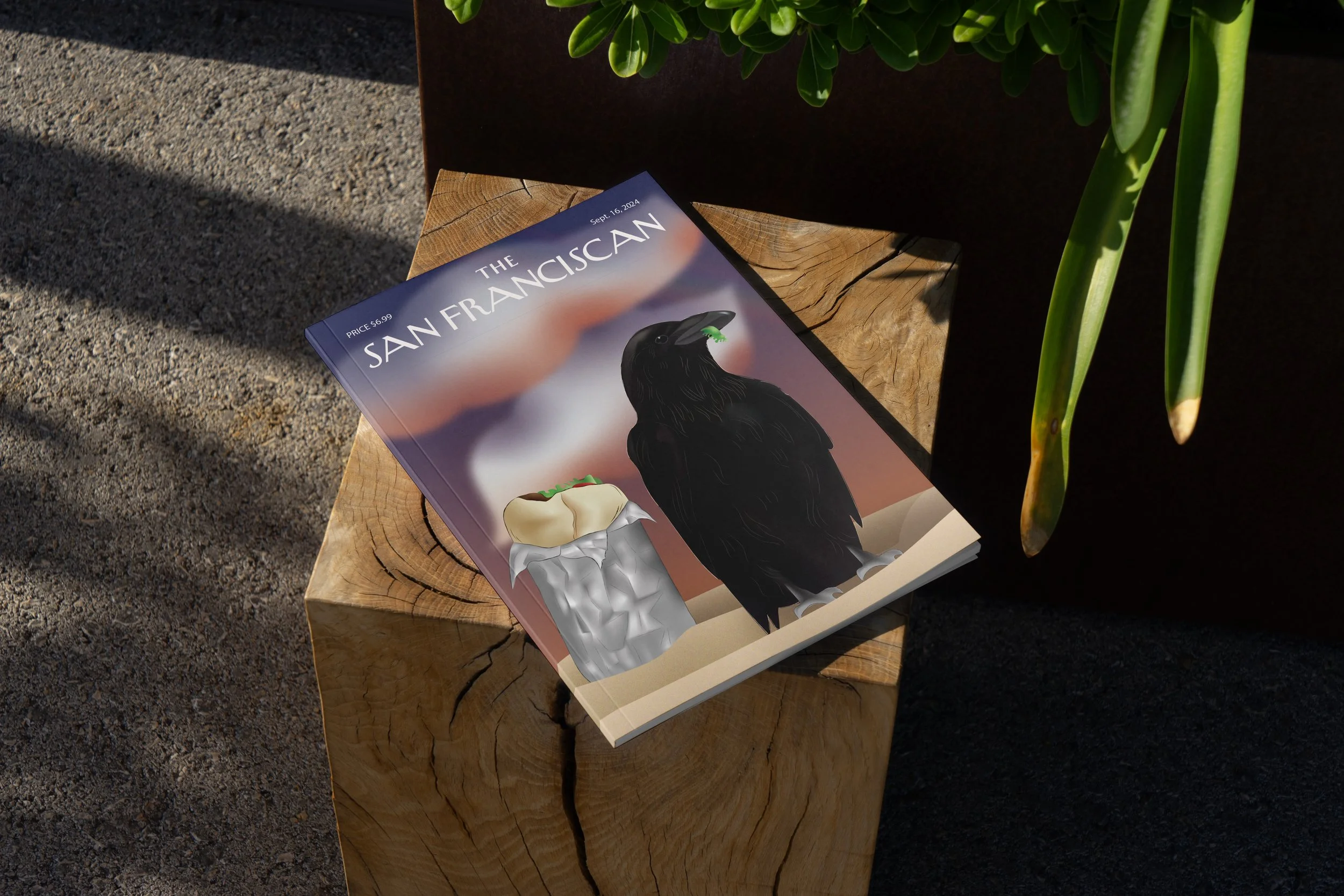 raven_magazine_mockup.jpg