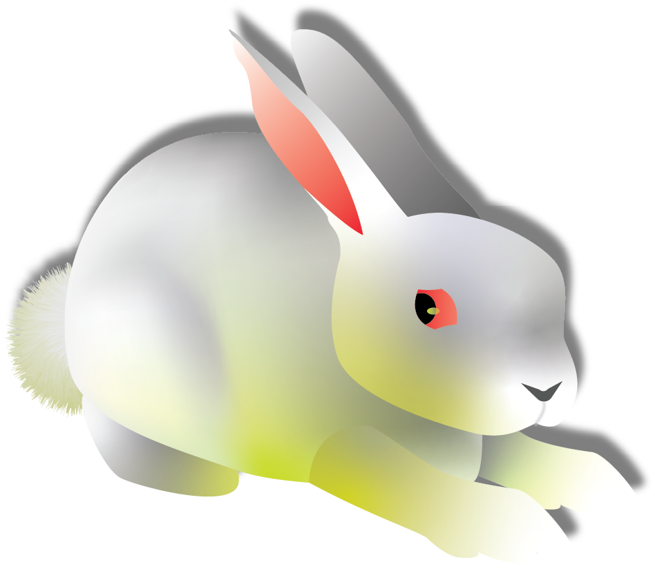 bunny_1.png
