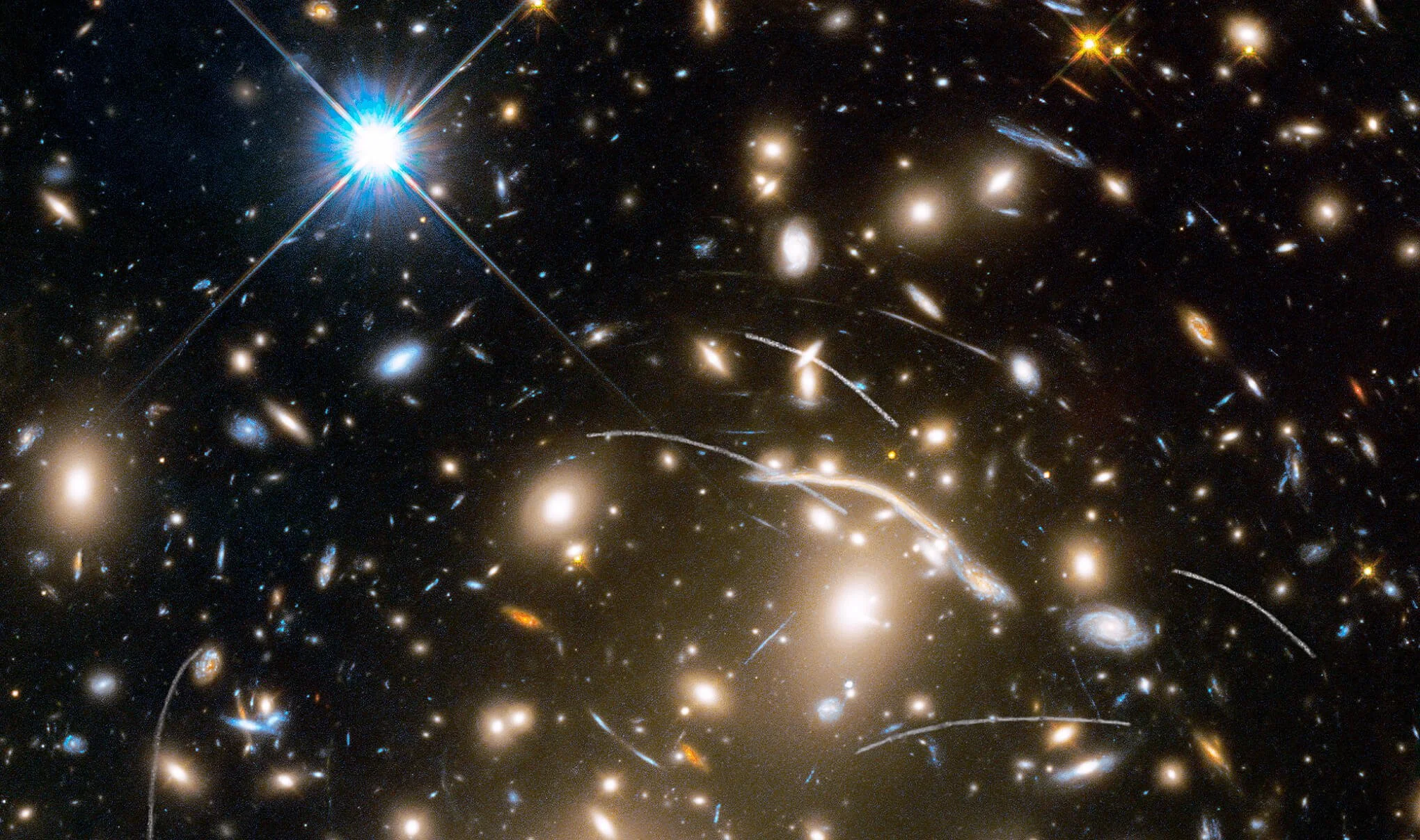 A tiny spin qubit with universal appeal