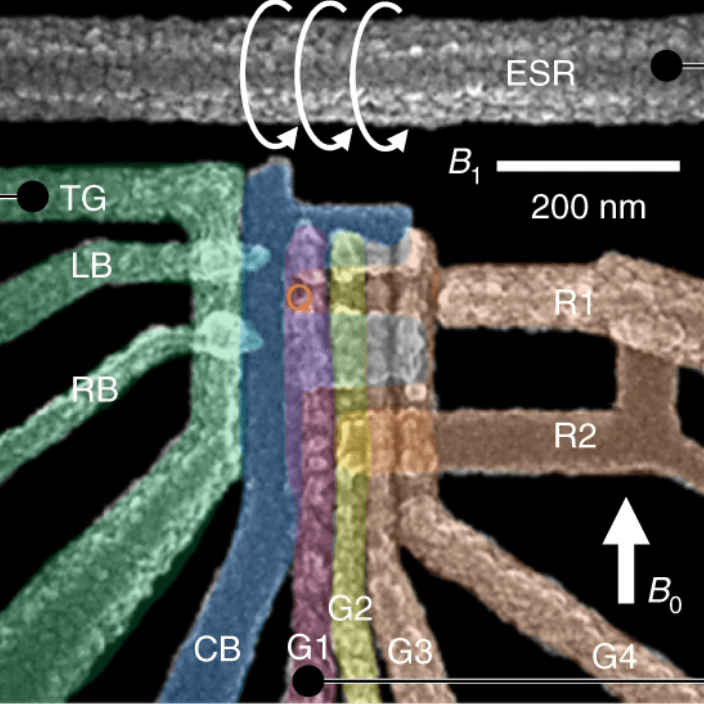 Silicon qubit fidelities approaching incoherent noise limits via pulse engineering