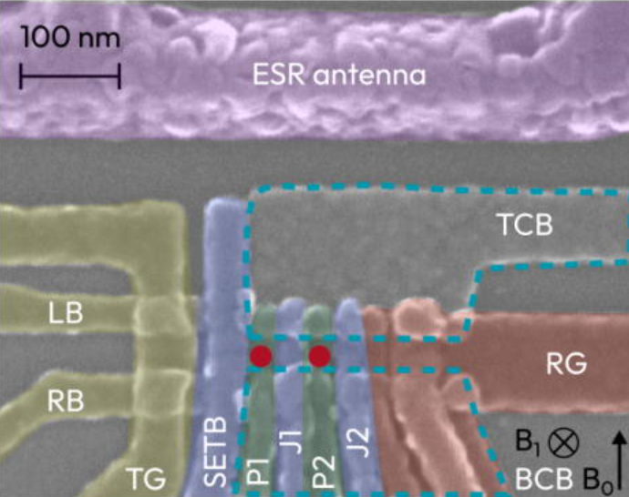 Silicon spin qubit noise characterization using real-time feedback protocols and wavelet analysis