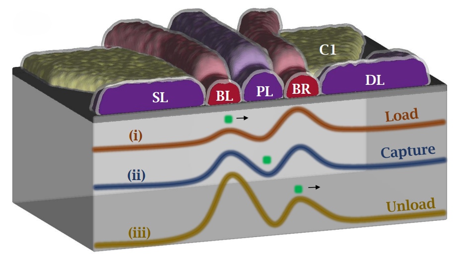 Silicon-charge-pump operation limit above and below liquid-helium temperature