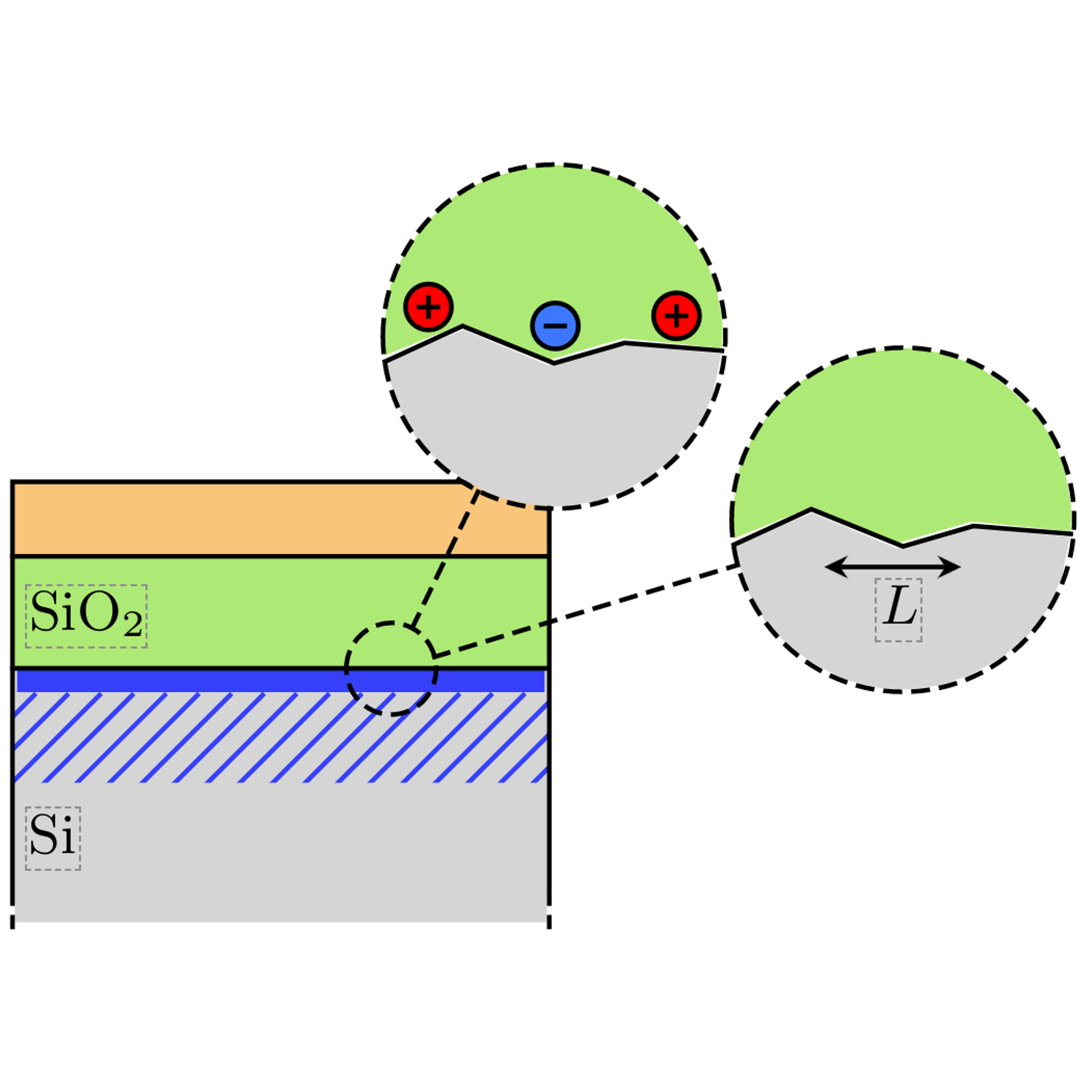 Holes in silicon are heavier than expected: transport properties of extremely high mobility electrons and holes in silicon MOSFETs