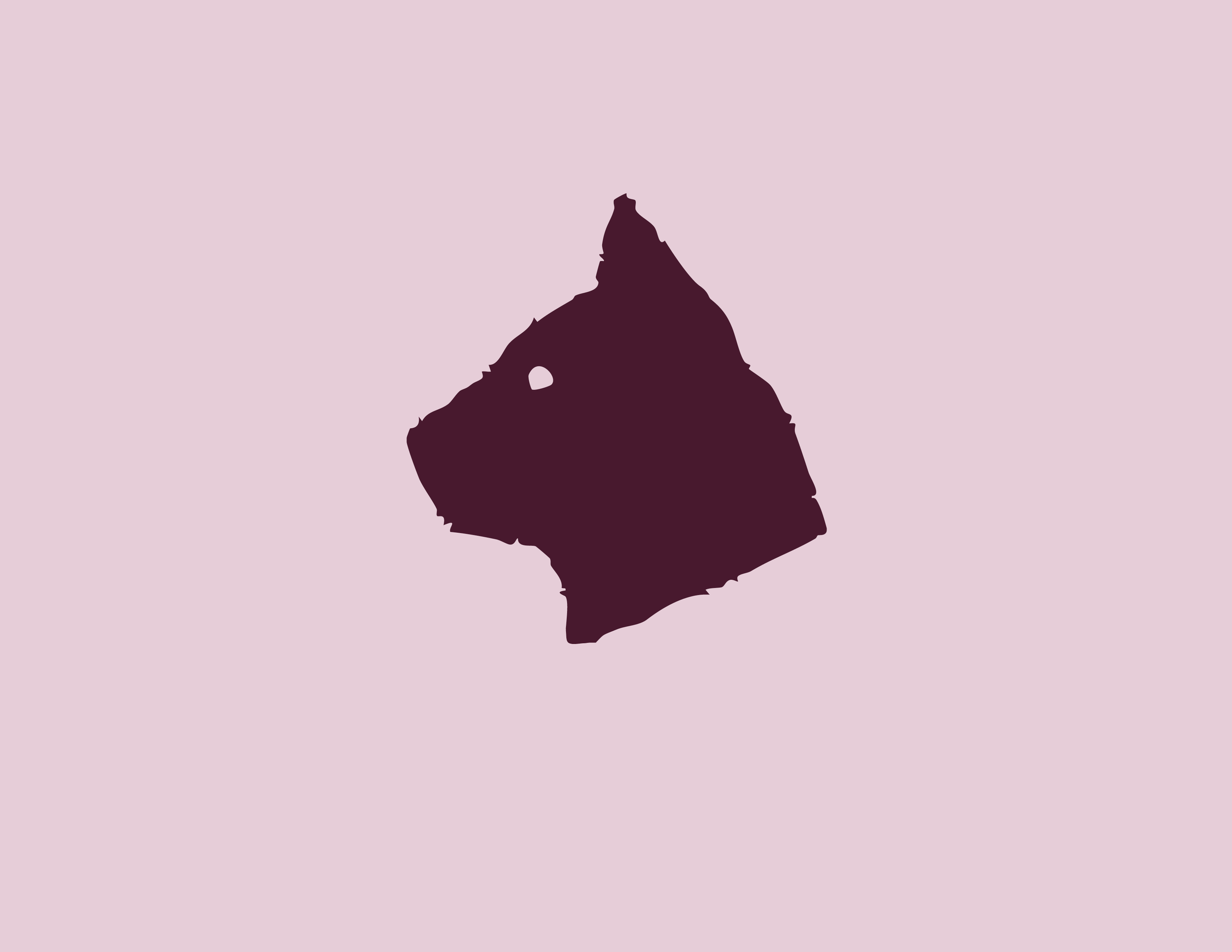 Katsby Squarespace26.png