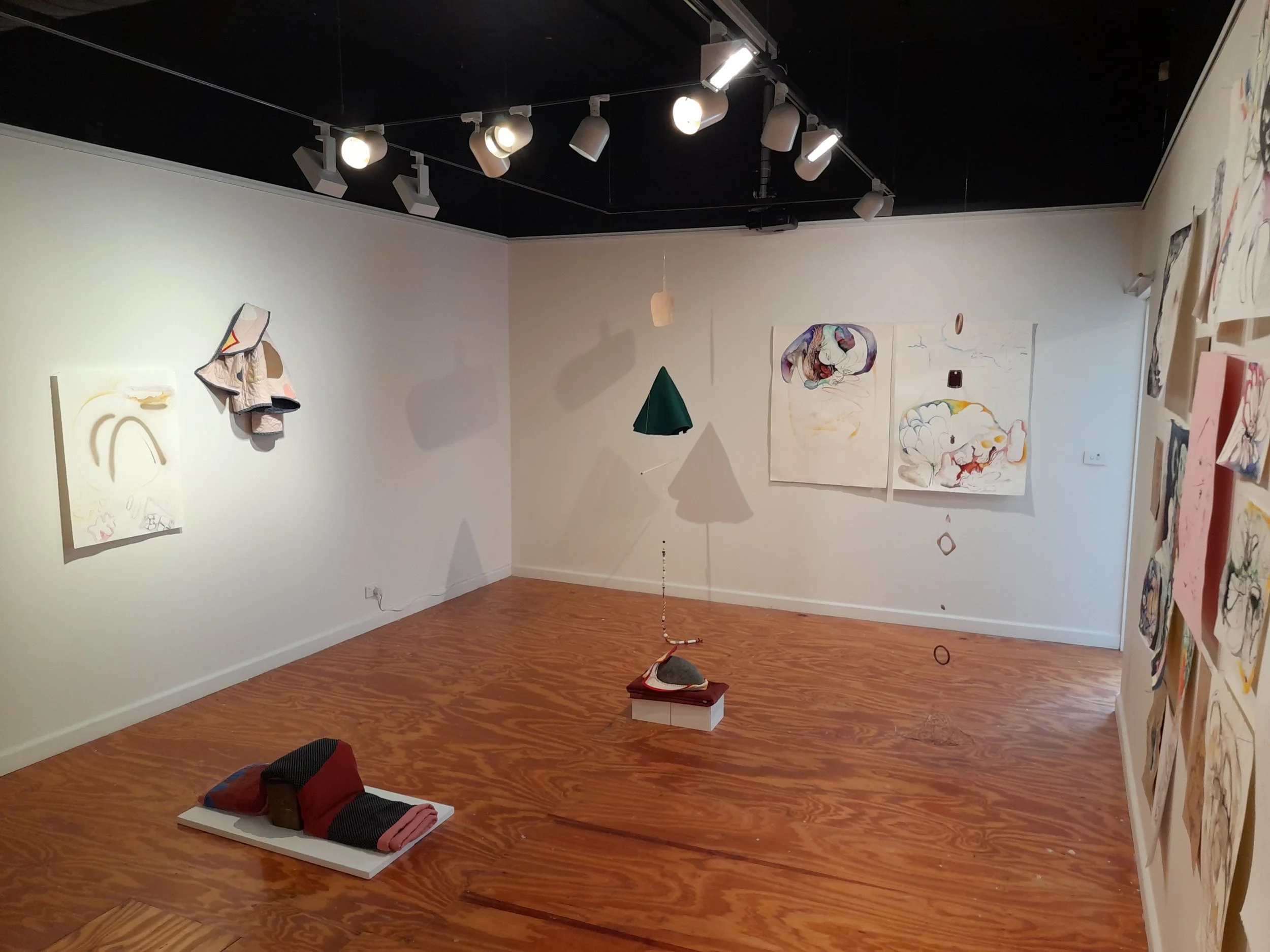 An art gallery with artwork on white walls, including paintings and three-dimensional mixed media pieces, and a wooden floor with installed spotlights illuminating the artworks.