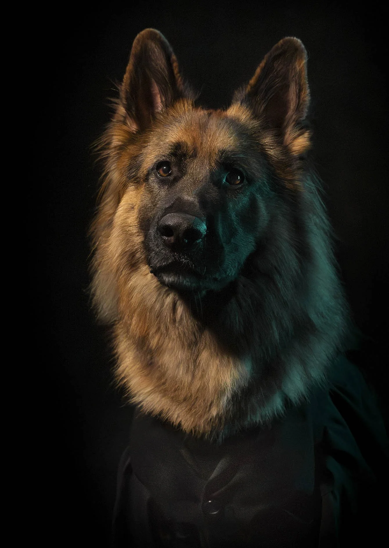 S IMG_1301-Enhanced-NR -2.jpg