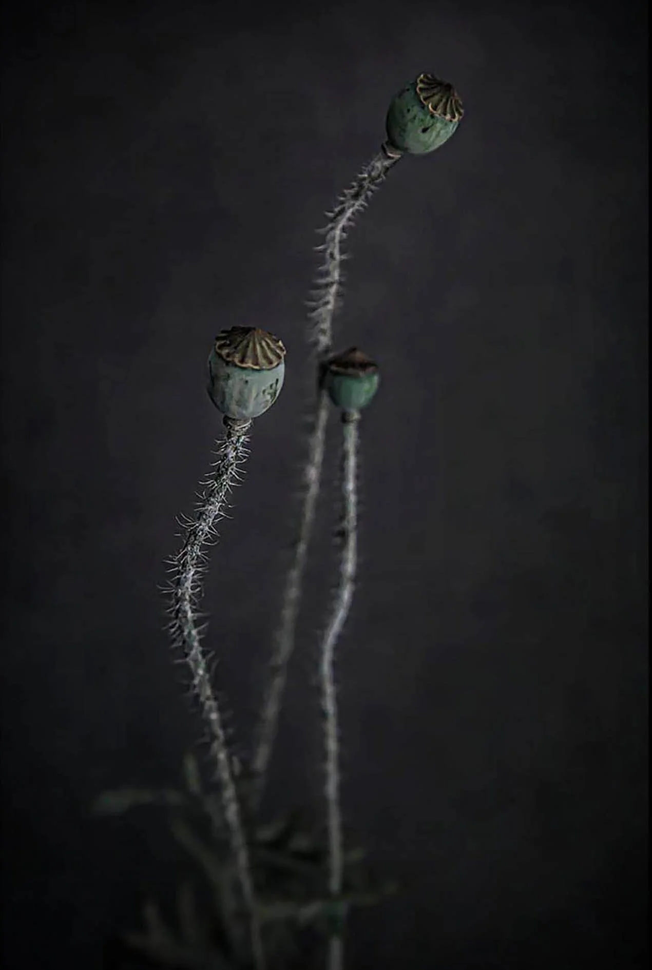 S IMG_20210106_215947_741.jpg