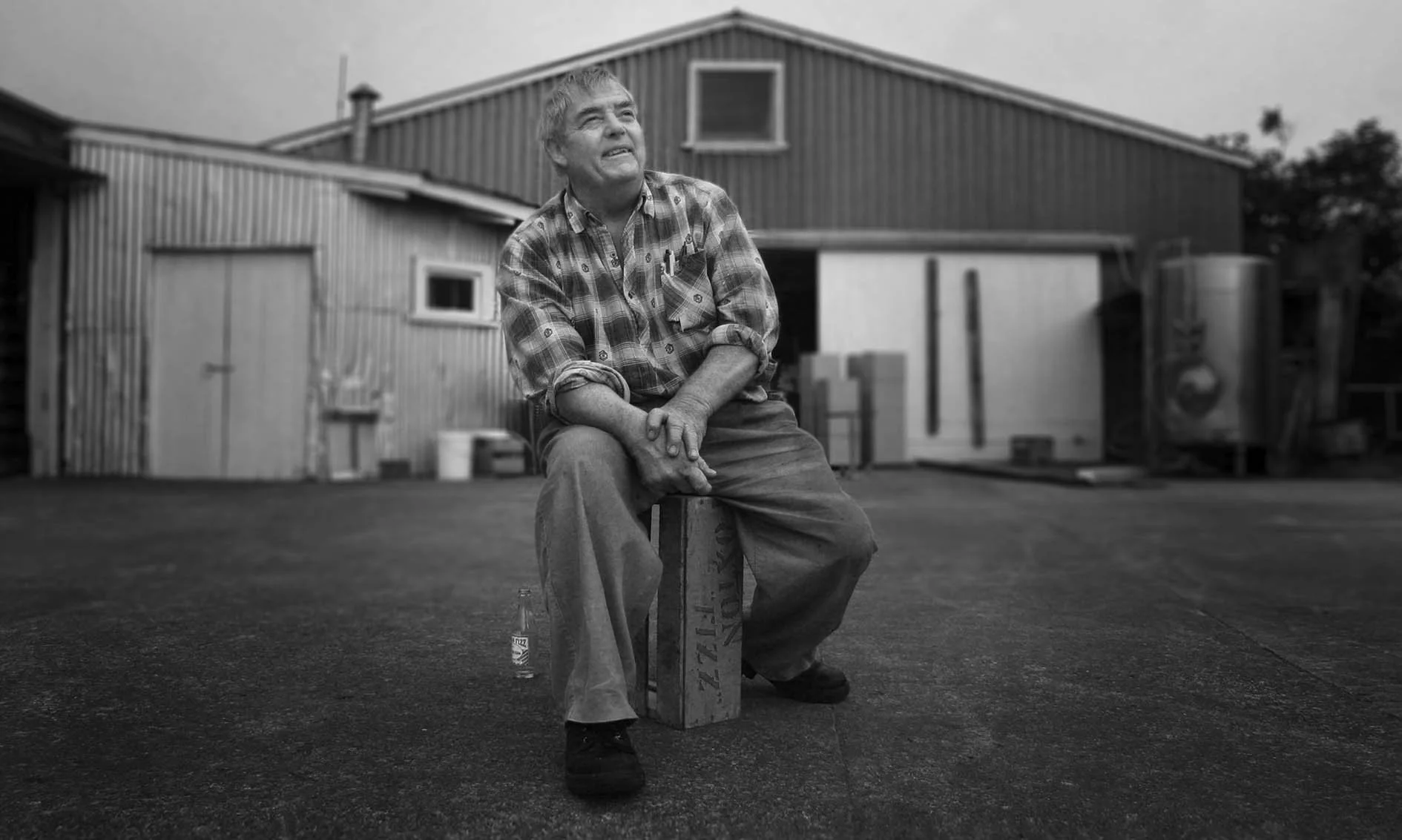 S foxton fizz (1).jpg