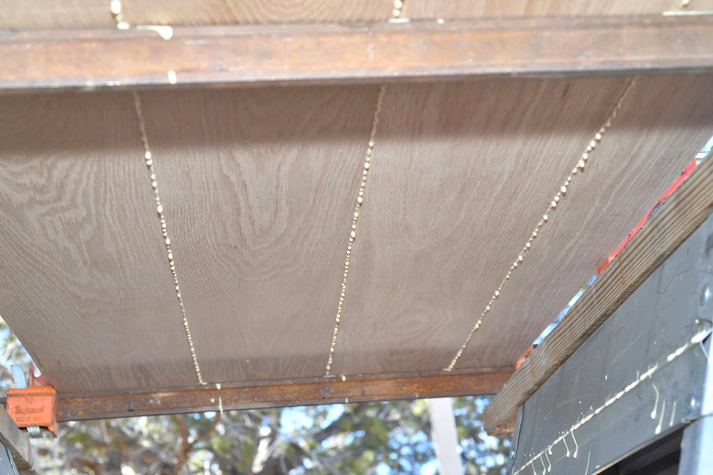 wood-glue-squeeze-out.JPG