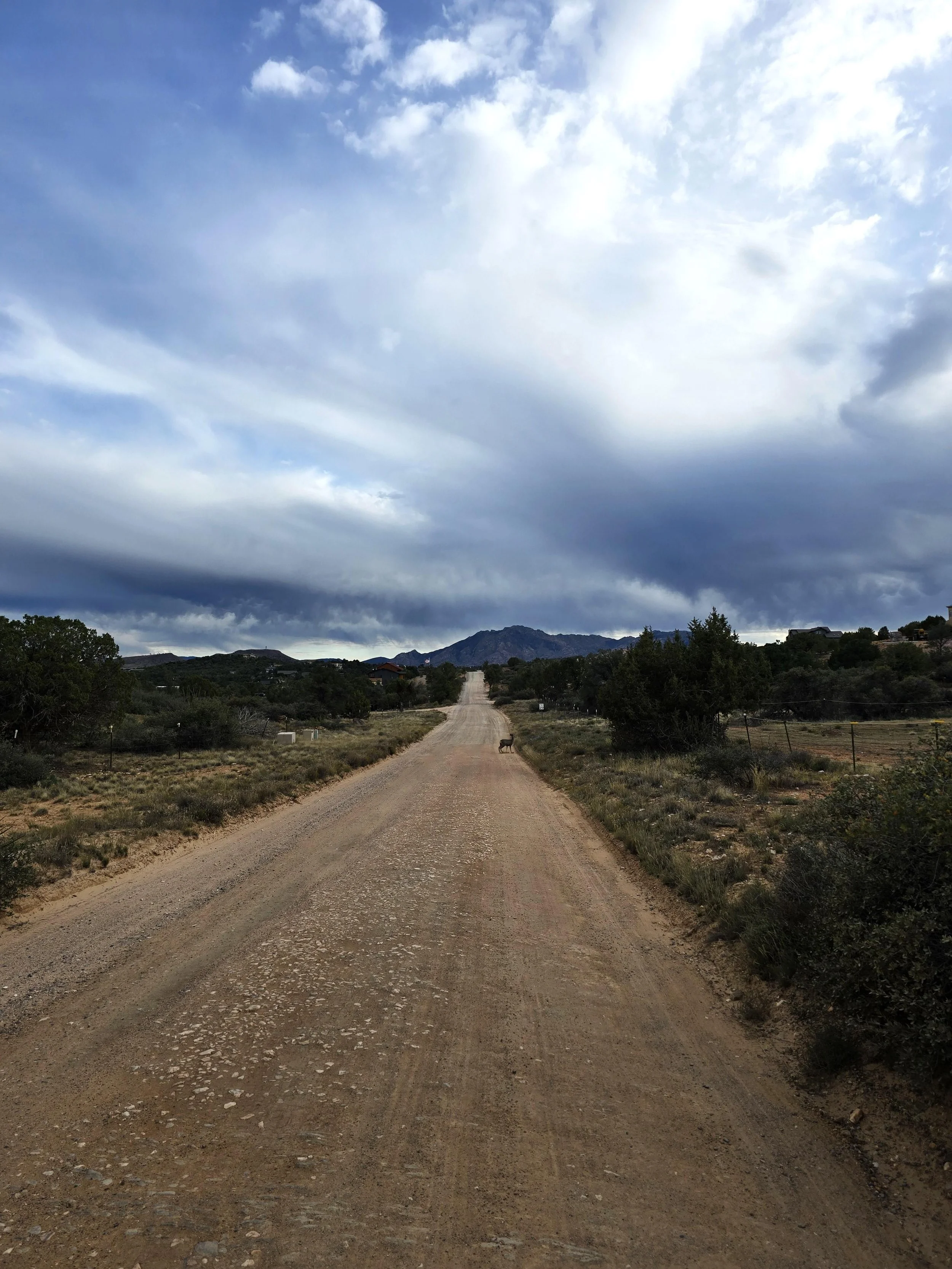 long dirt road in the high country