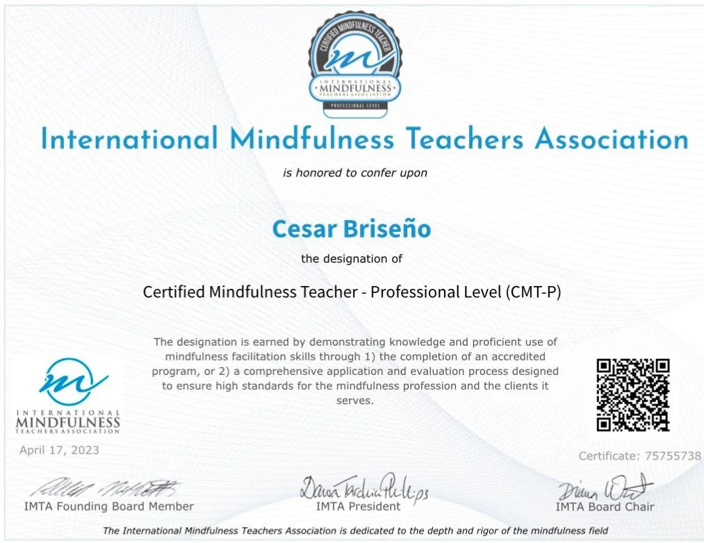 International Mindfulness Teacher Association