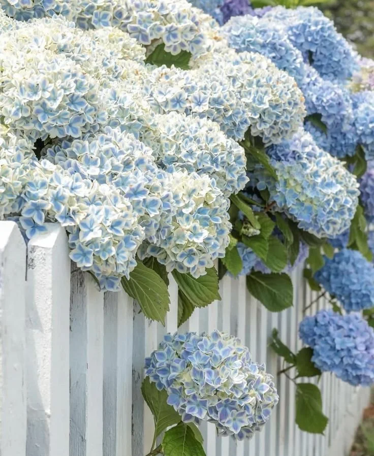 Planting The First Seeds