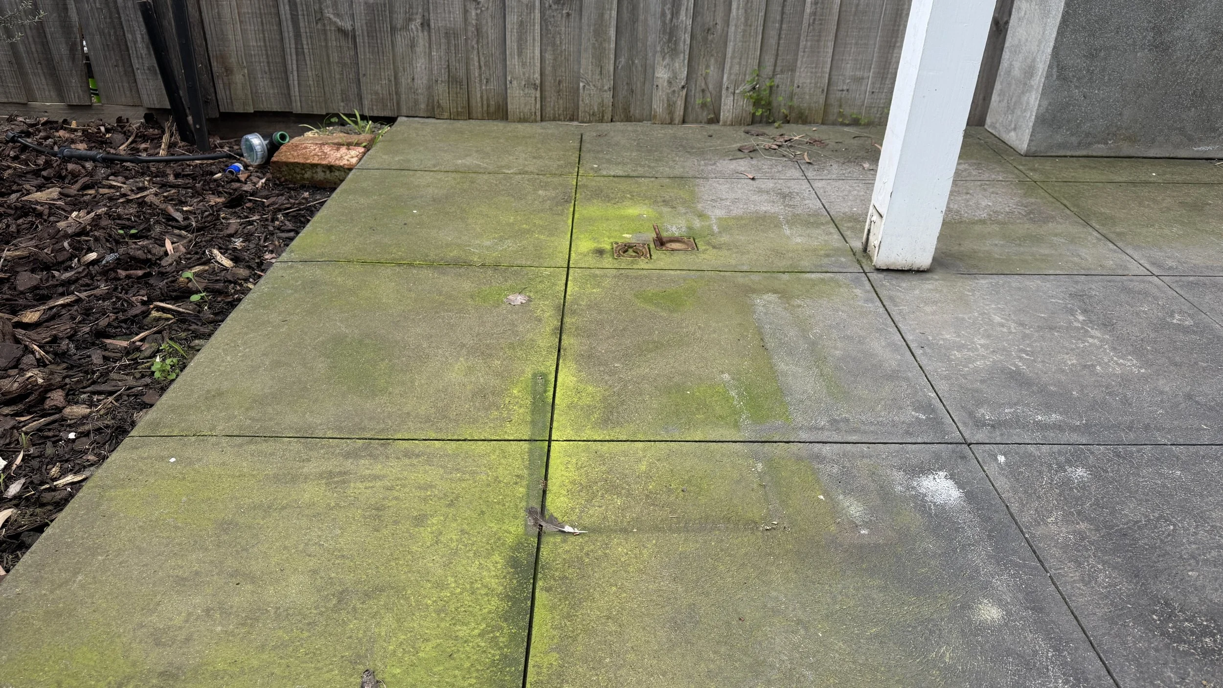 Mould, mildew and algae: how exterior cleaning protects your home