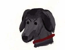 Black dog.jpg