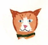 orange cat.jpg