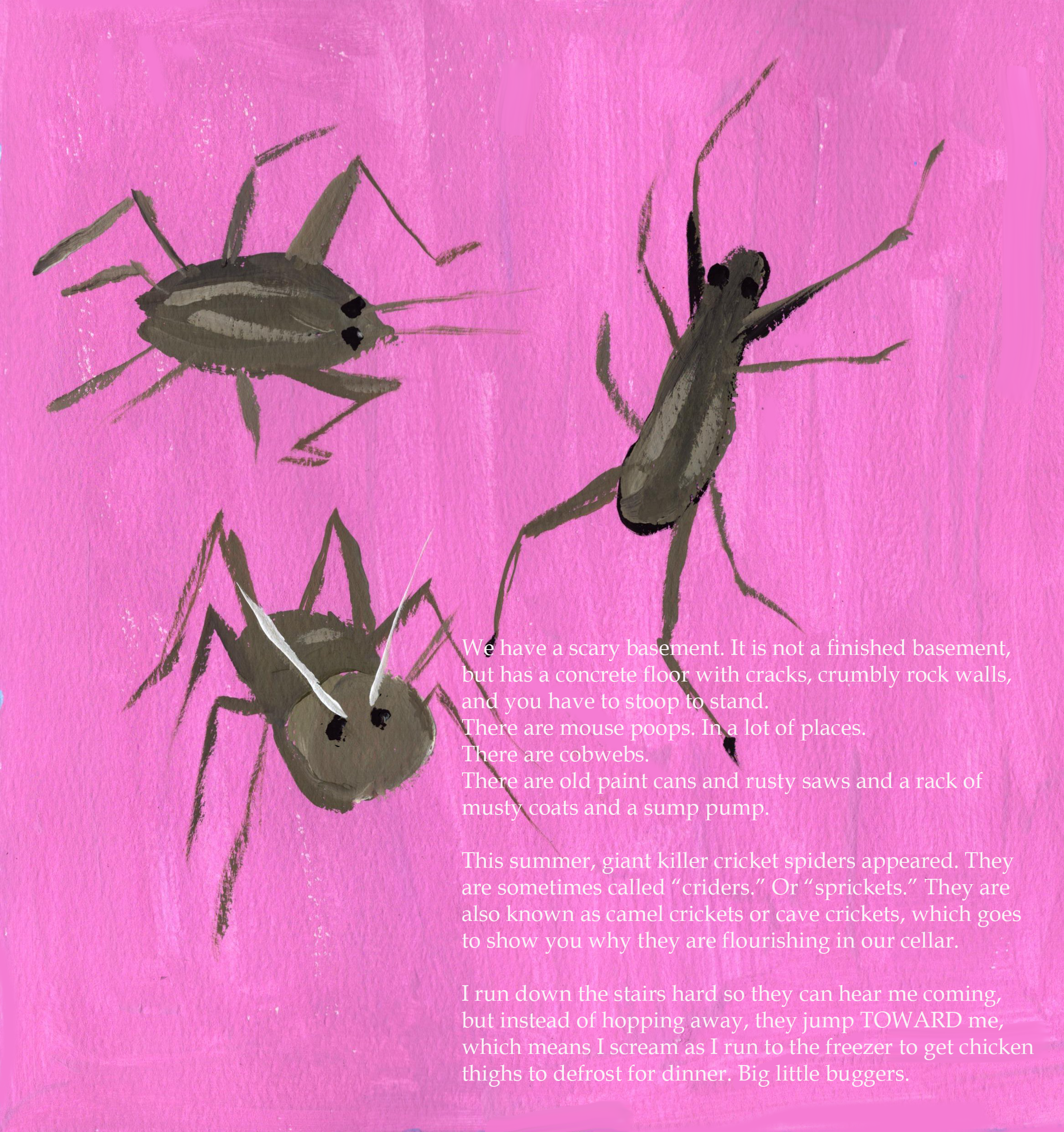 Three bugs on a pink background with a story about bugs and a basement.