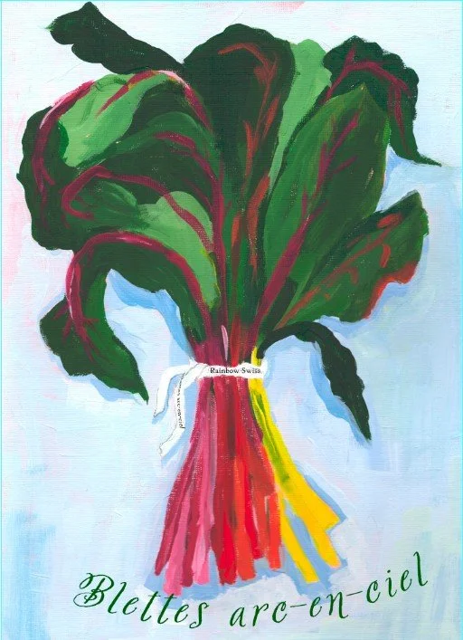 Rainbow chard FOC.jpg