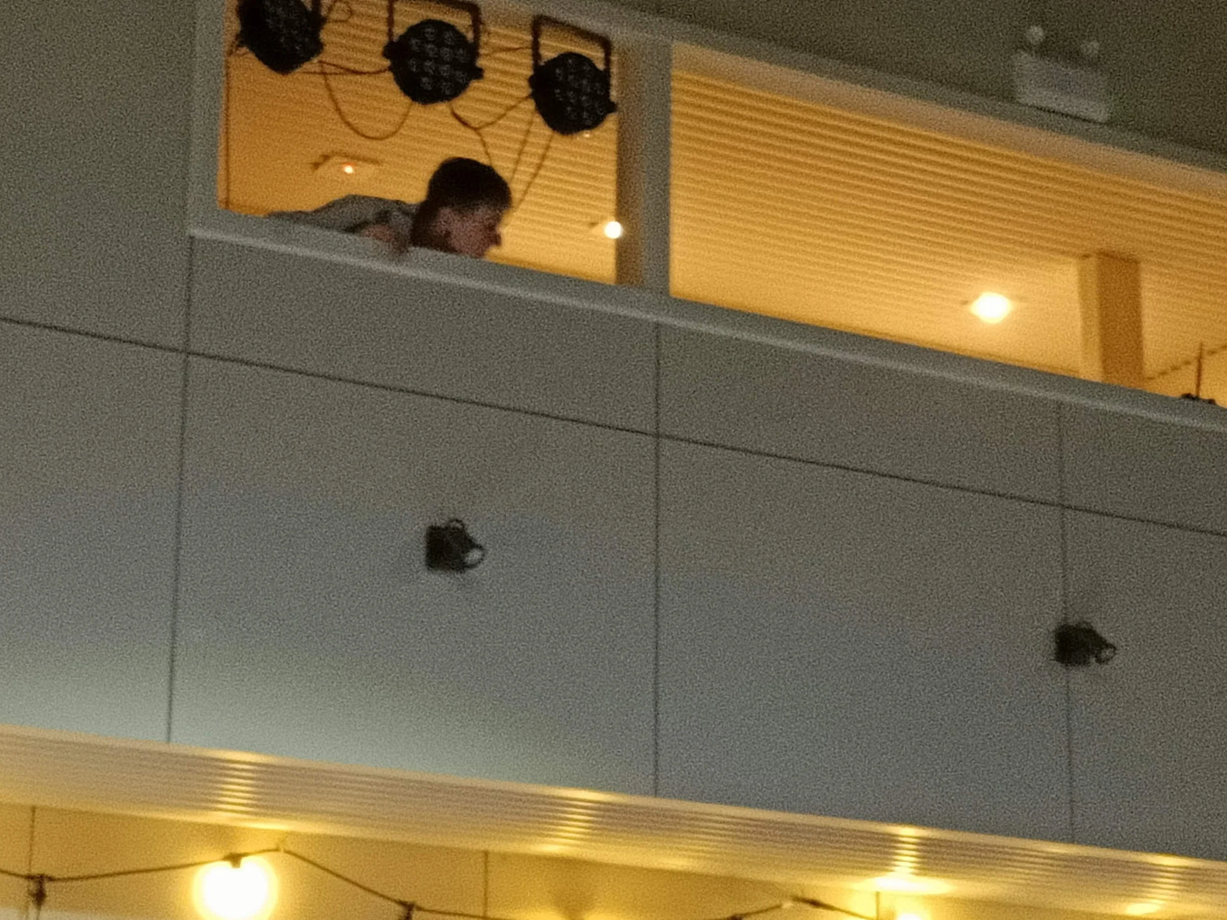 The Lighting Lady... AKA Mitzi