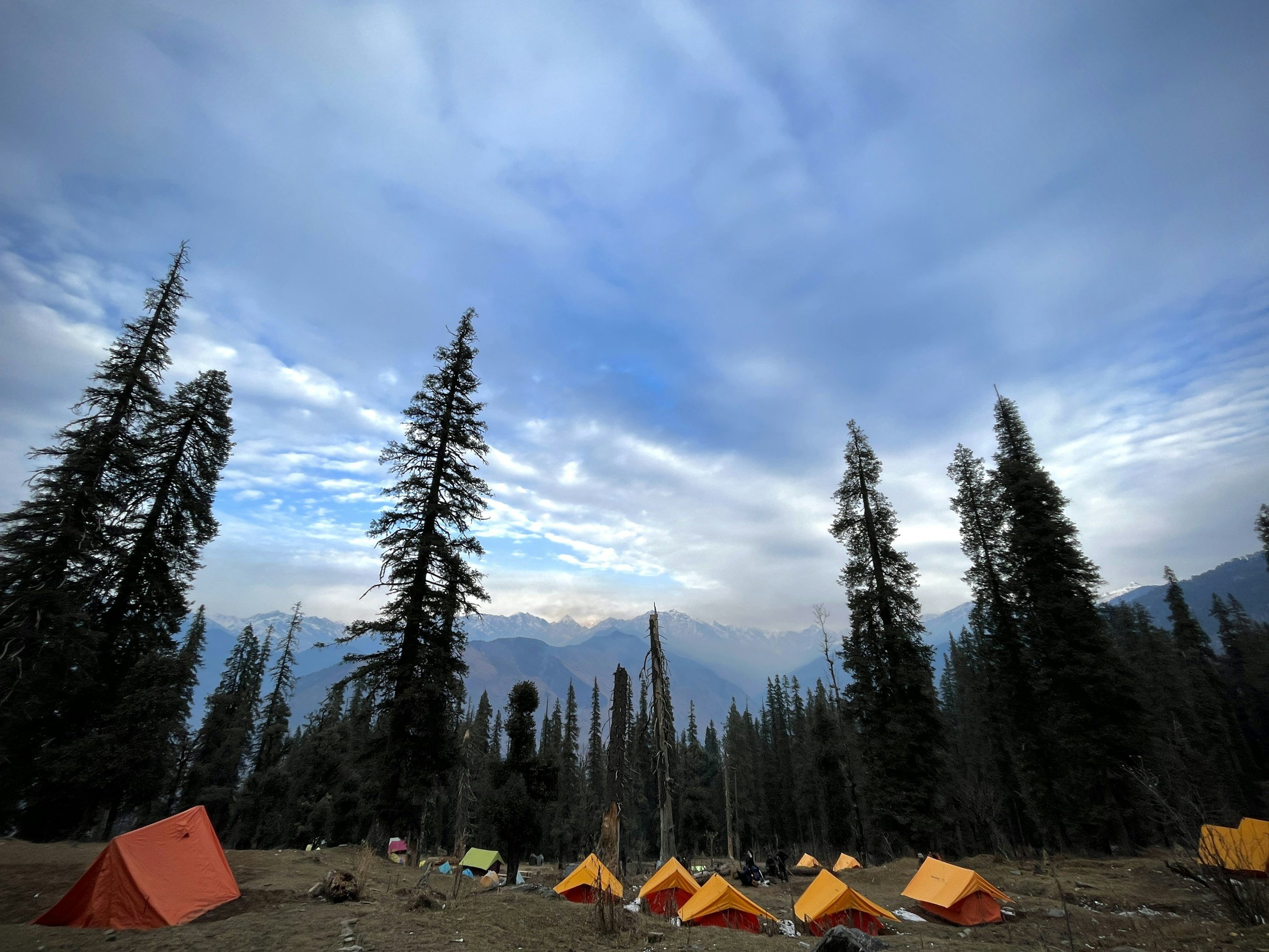 A mountain landscape scene with tall pine trees, mountains in the background, and colorful tents set up on a grassy area in the foreground.