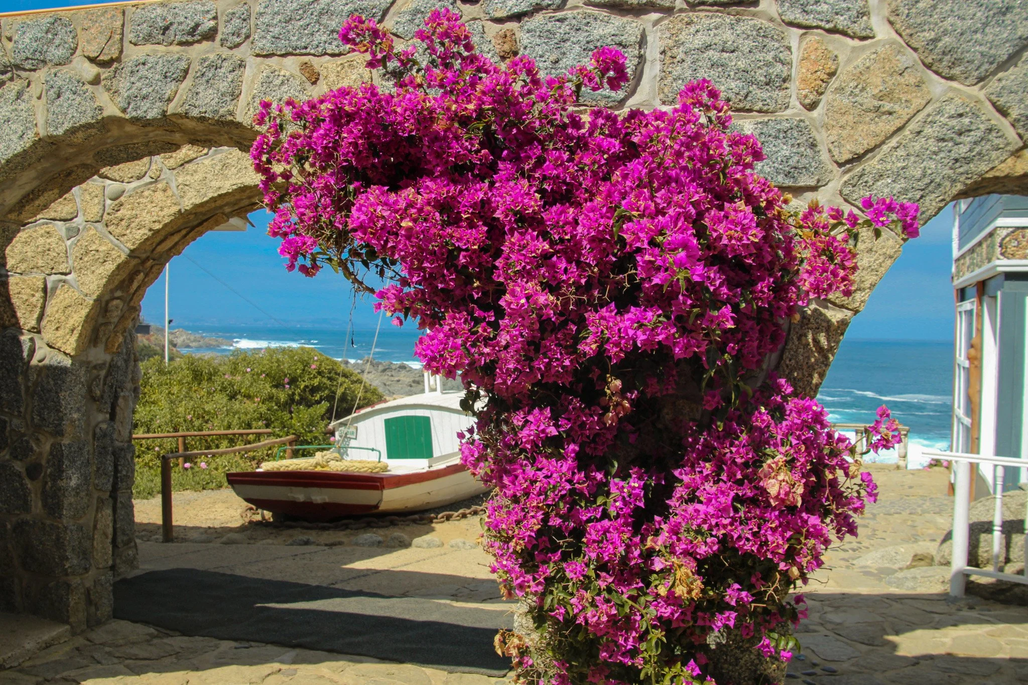 Porfolio Edited -37.jpg