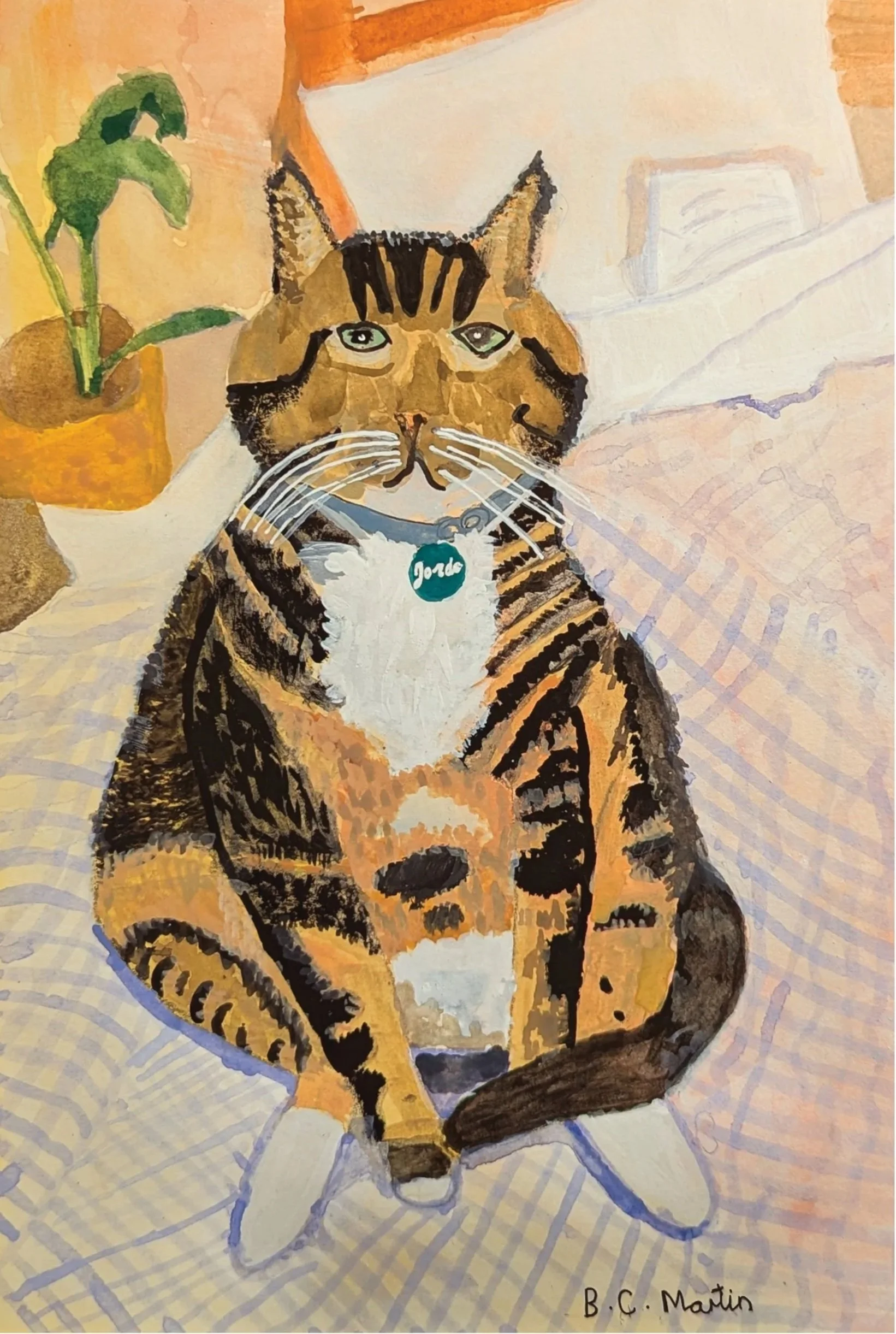 Jordie the Cat Print