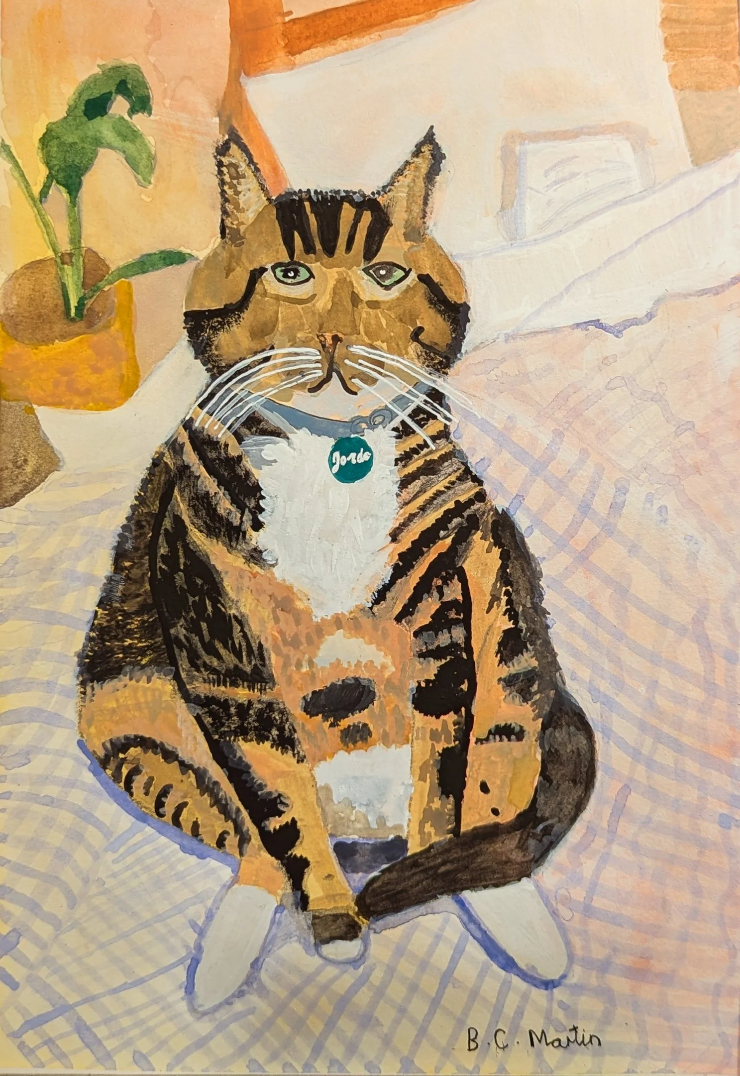 Jordie the Cat (2024)