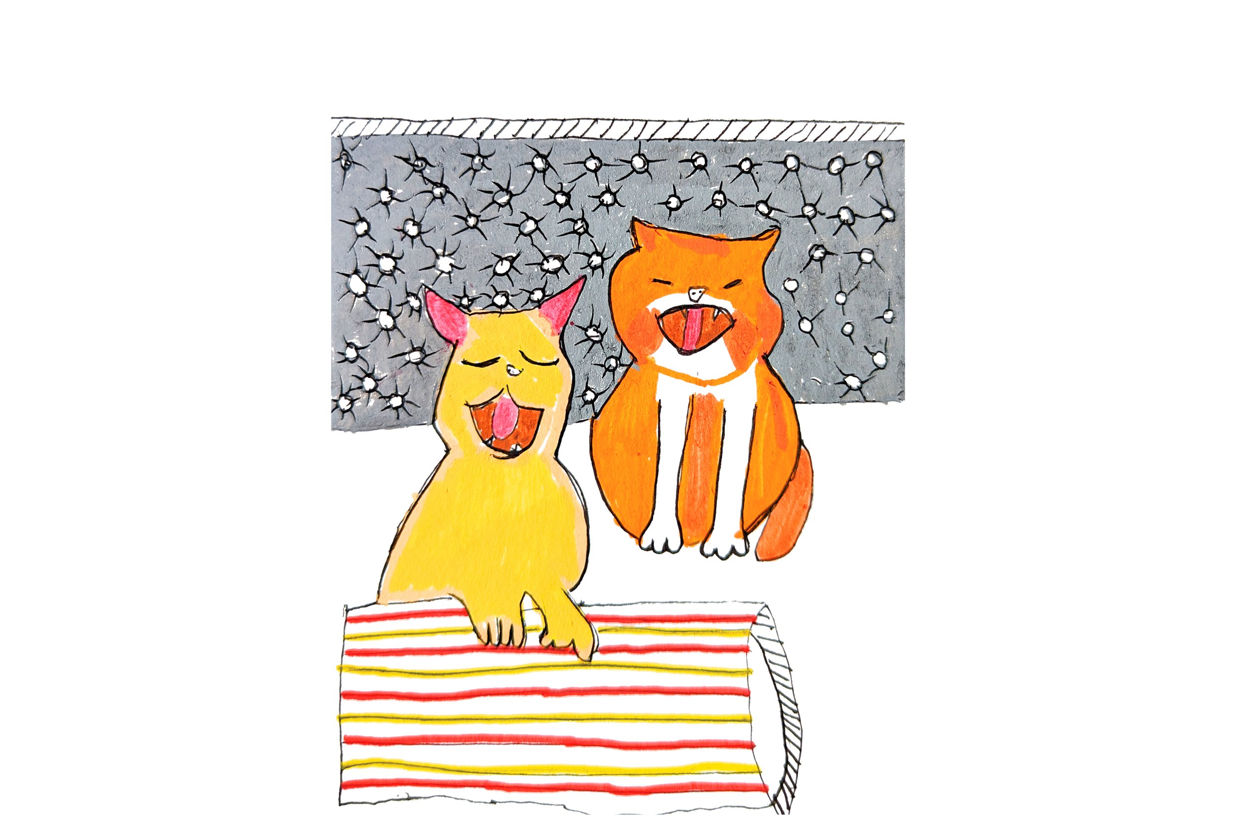 two kitty cats on the bed.jpg