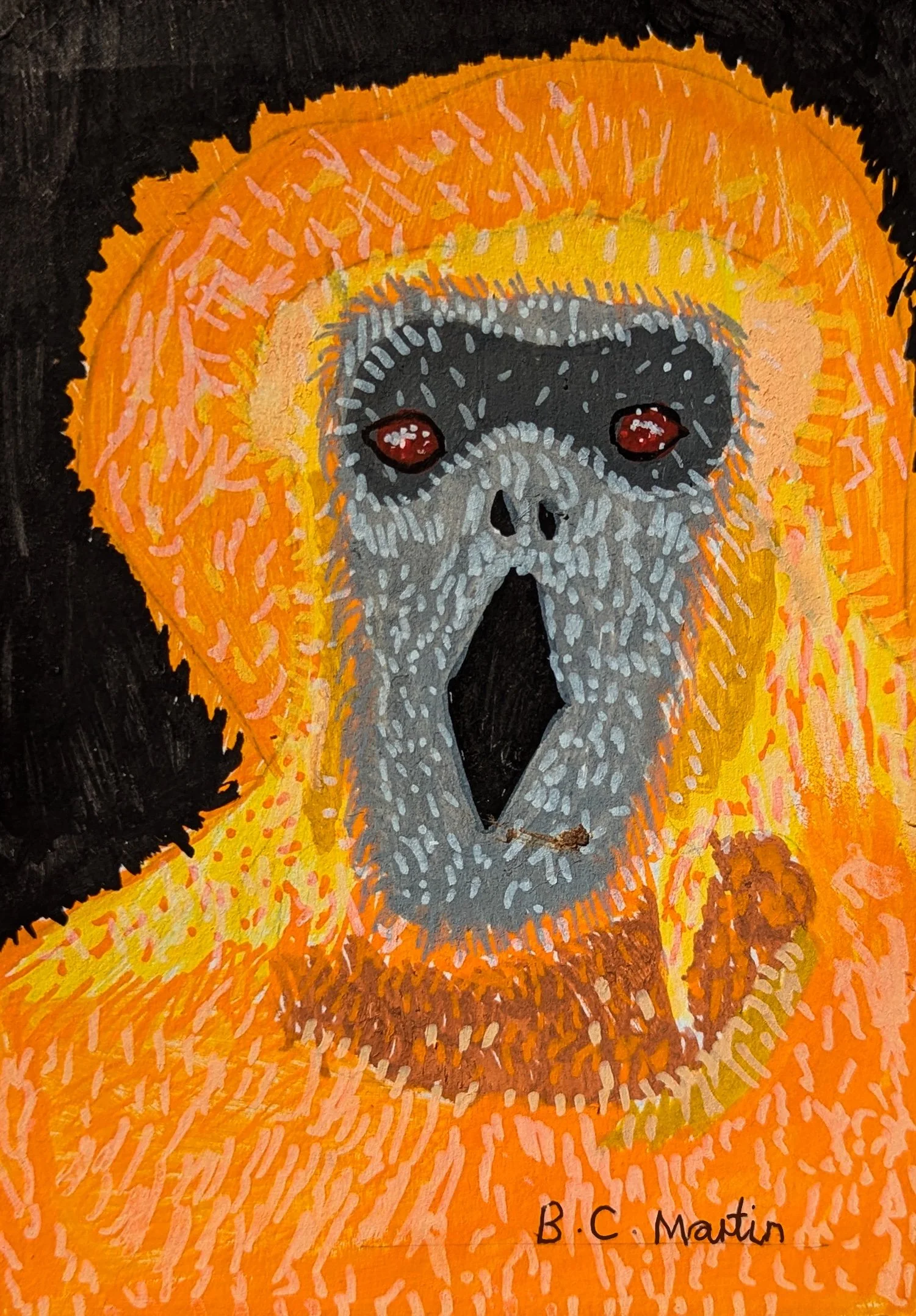 Orangutan