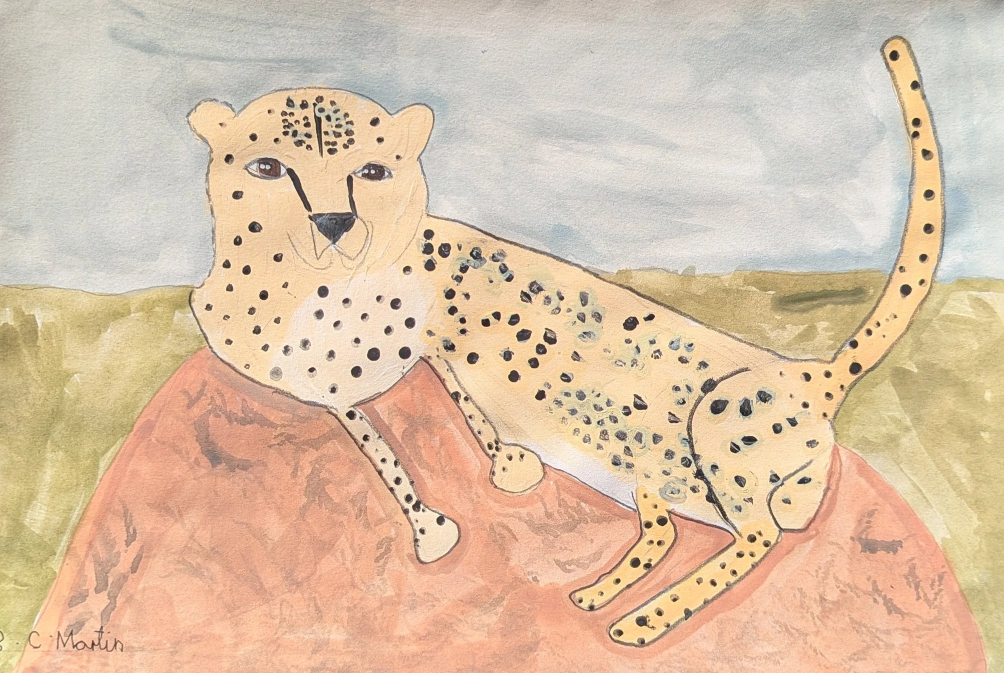 Leopard Lying Down