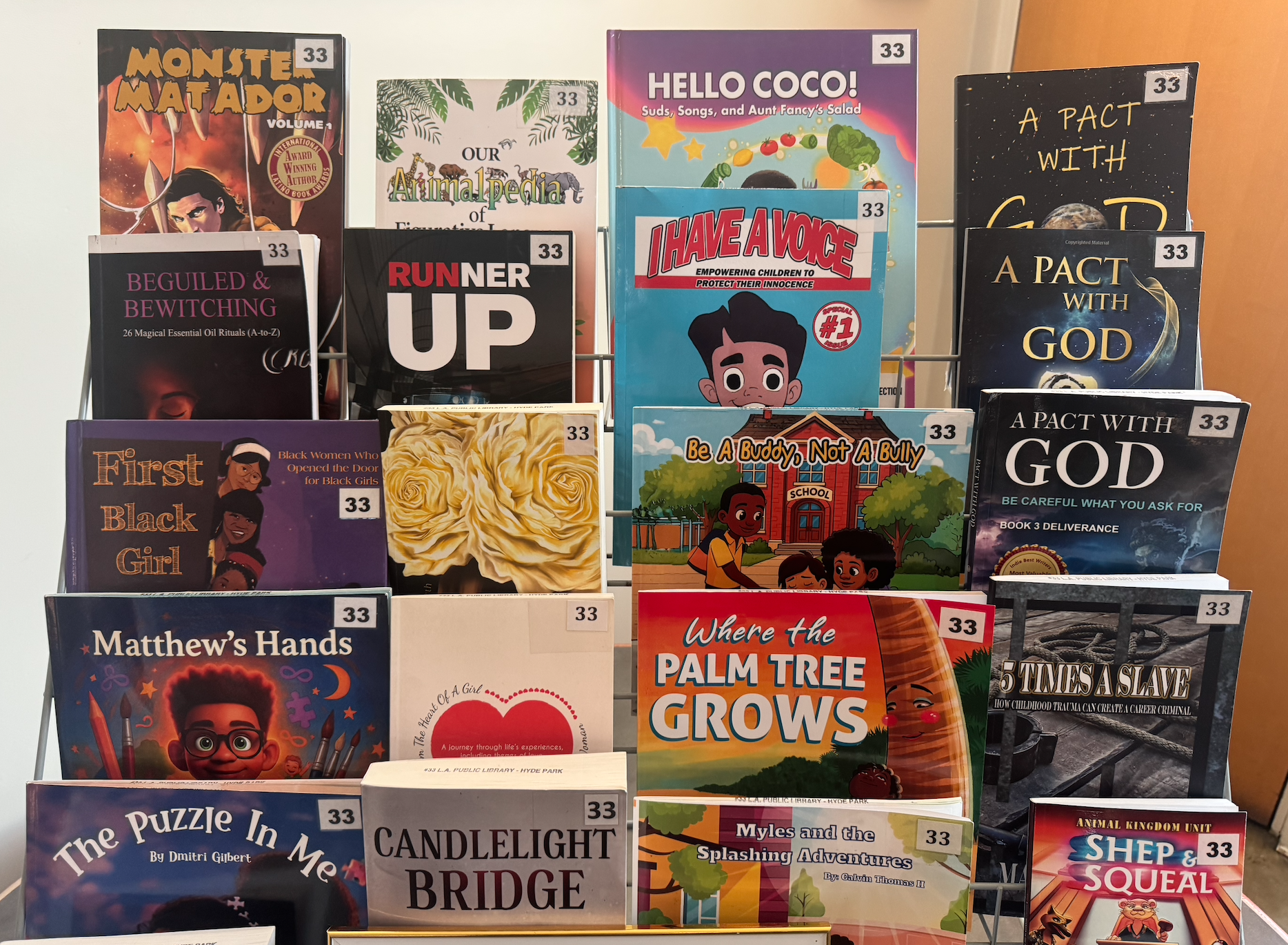 Libraries, Stories, and Agency