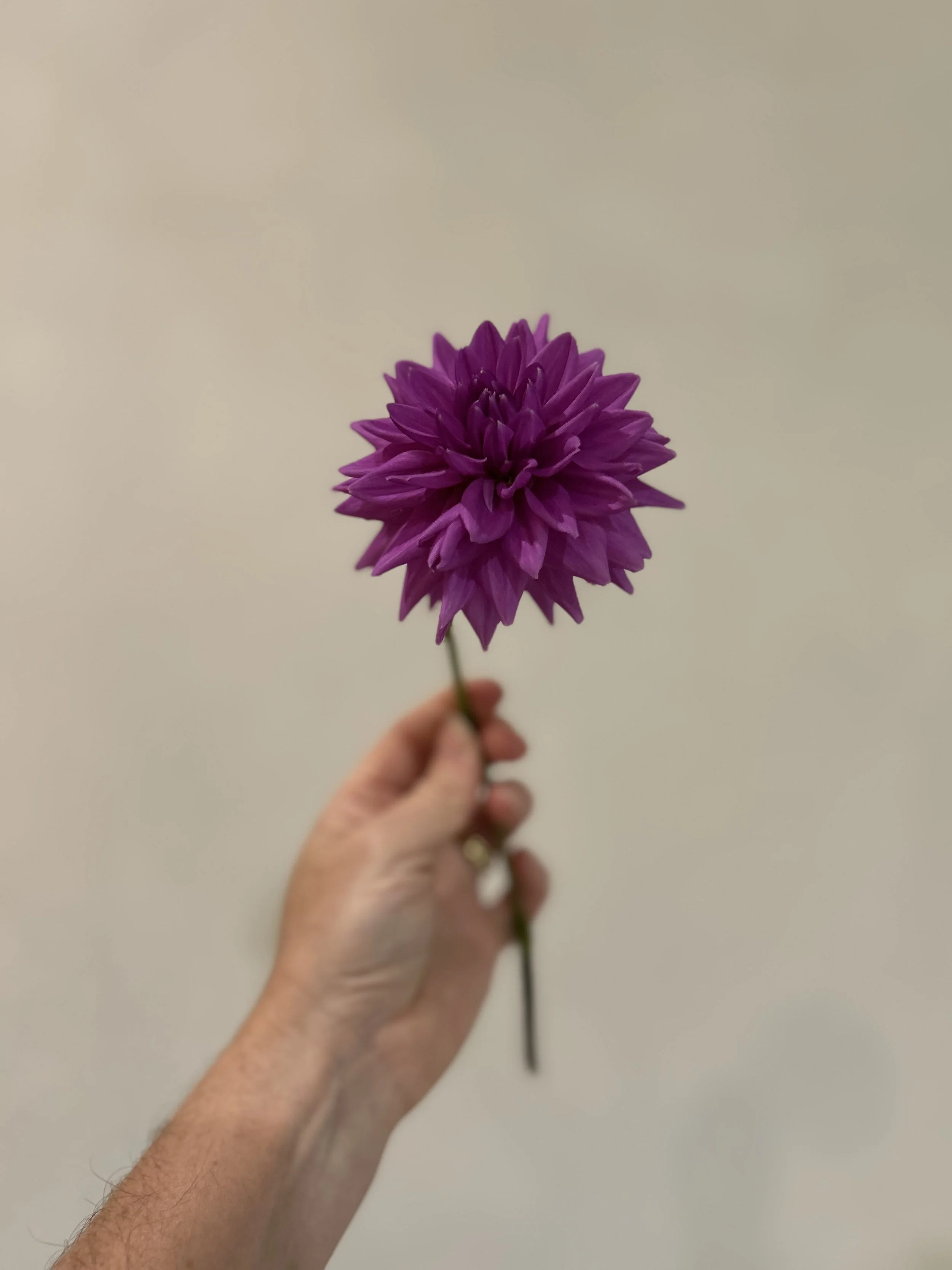 IMG_5899.jpeg