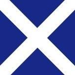 A close-up of a blue flag with a white X-shaped cross.