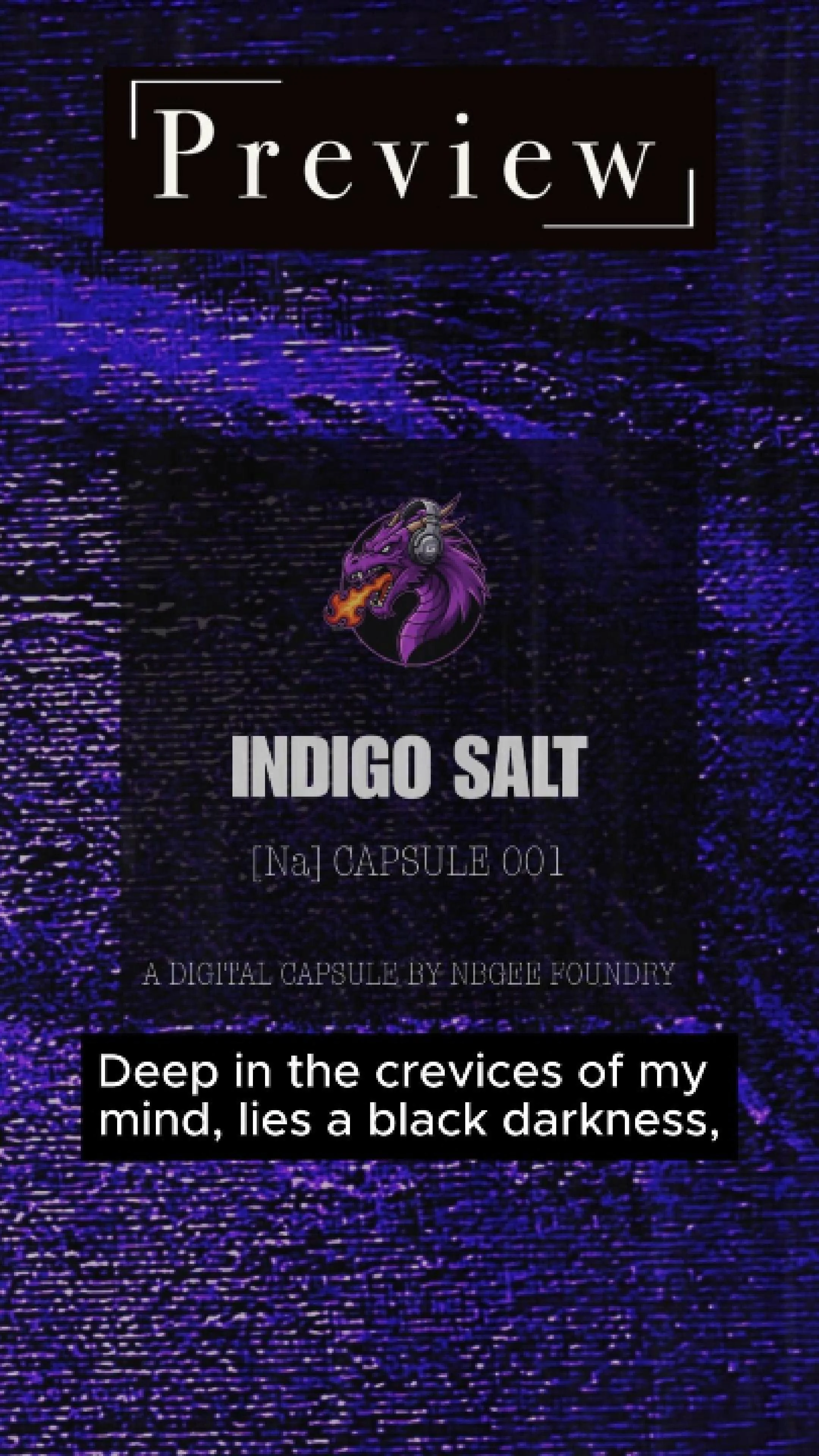Indigo Salt Preview(1)-Cover.jpg