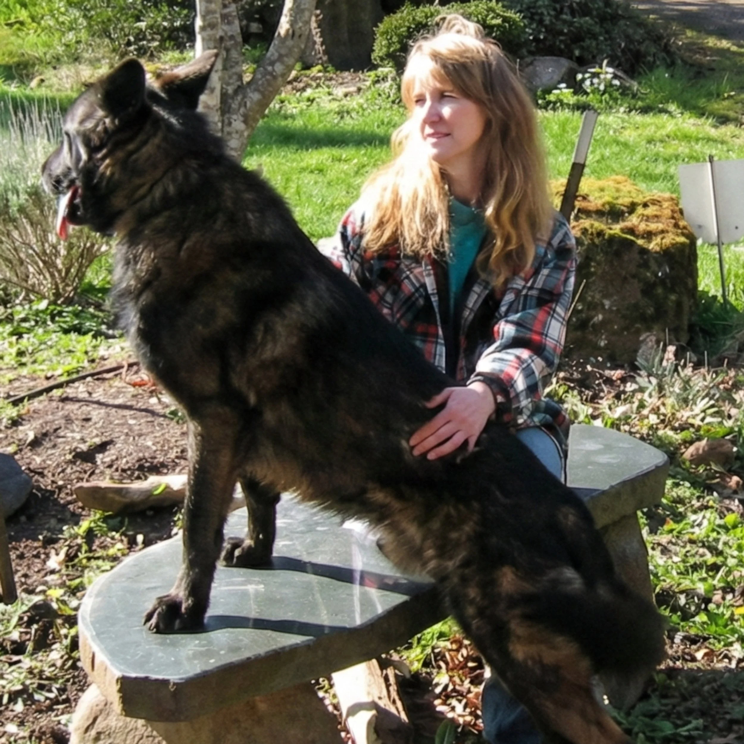 A woman with long, wavy blonde hair sitting on a stone bench outdoors, holding a large black and brown dog with a fluffy tail on a stone table. The woman is wearing a plaid jacket and looking to the right, surrounded by green grass, trees, and plants.