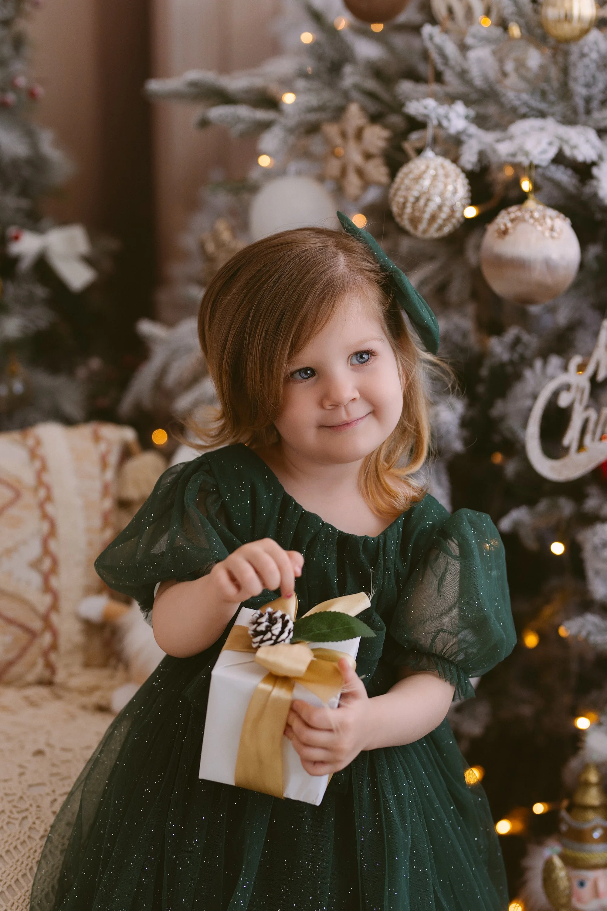 Christmas photos by annaclaire studio  (26).JPG
