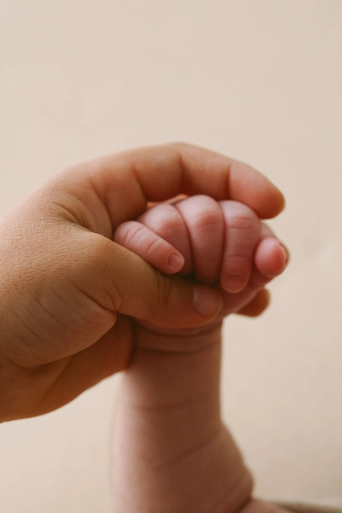 Newborn photos by annaclaire studio sydney (440).JPG